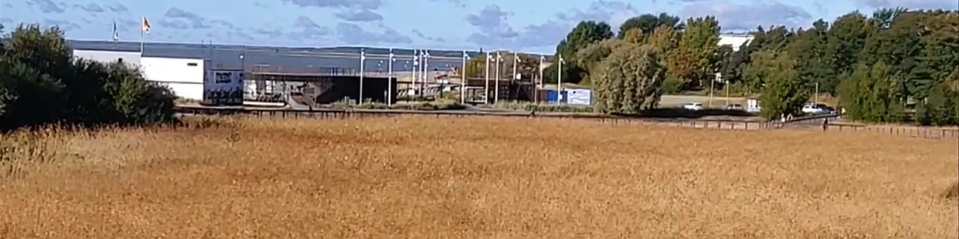 Pärnu rand