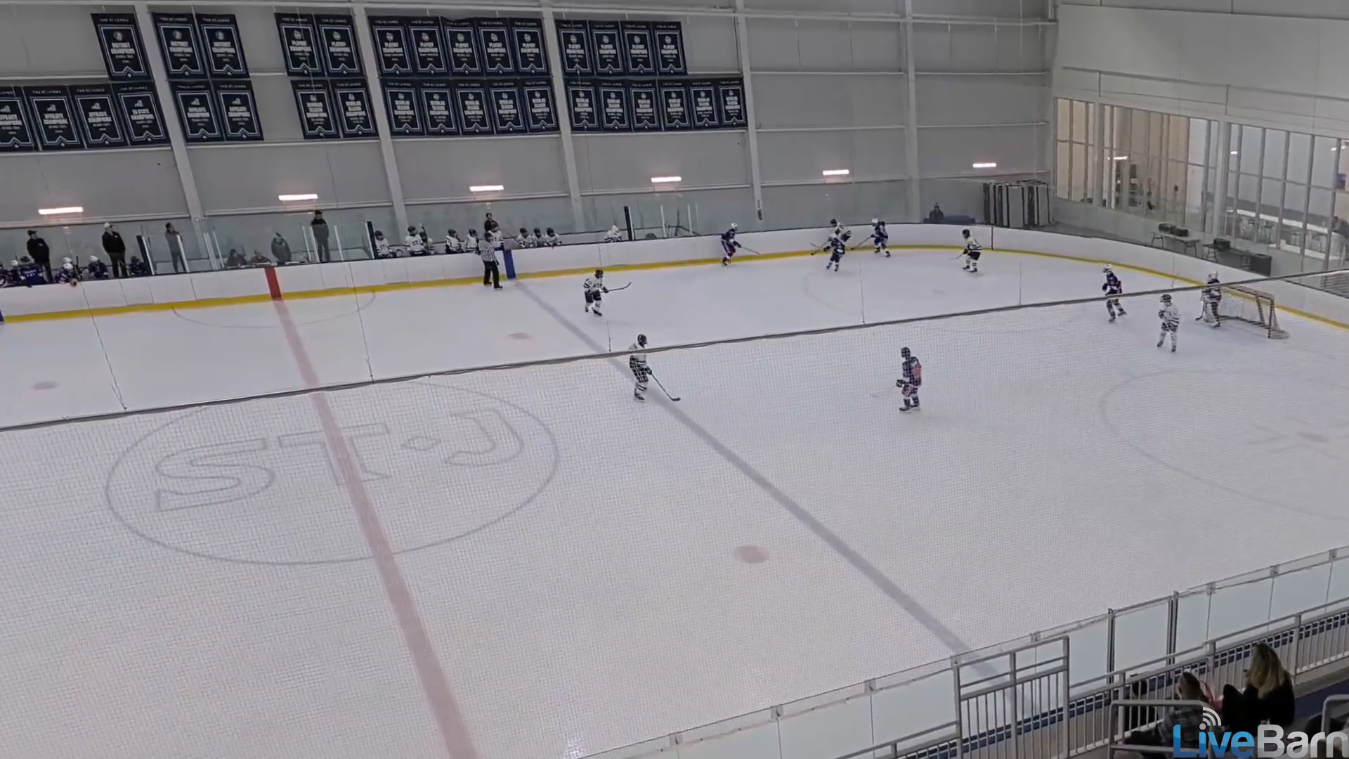 Eamon Chapin's Sniper Goal: Precision from St. James HC 16U A