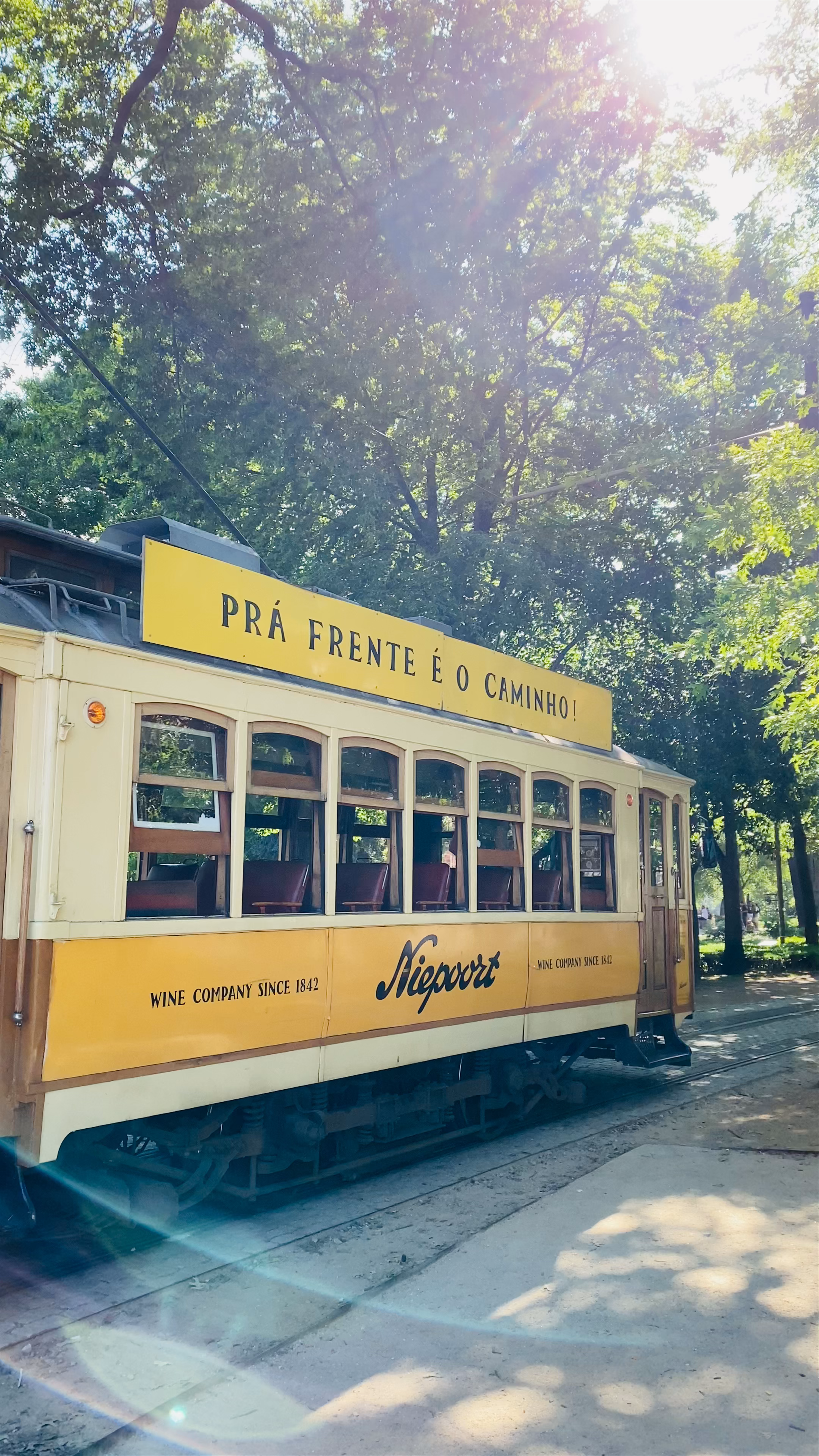 Sunny Tram Ride Through Jardim da Praça da República in Portimão, Portugal