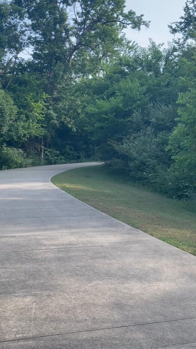 Spring Creek Forest Preserve - 10/10 - Parks Near Me - Garland, Texas