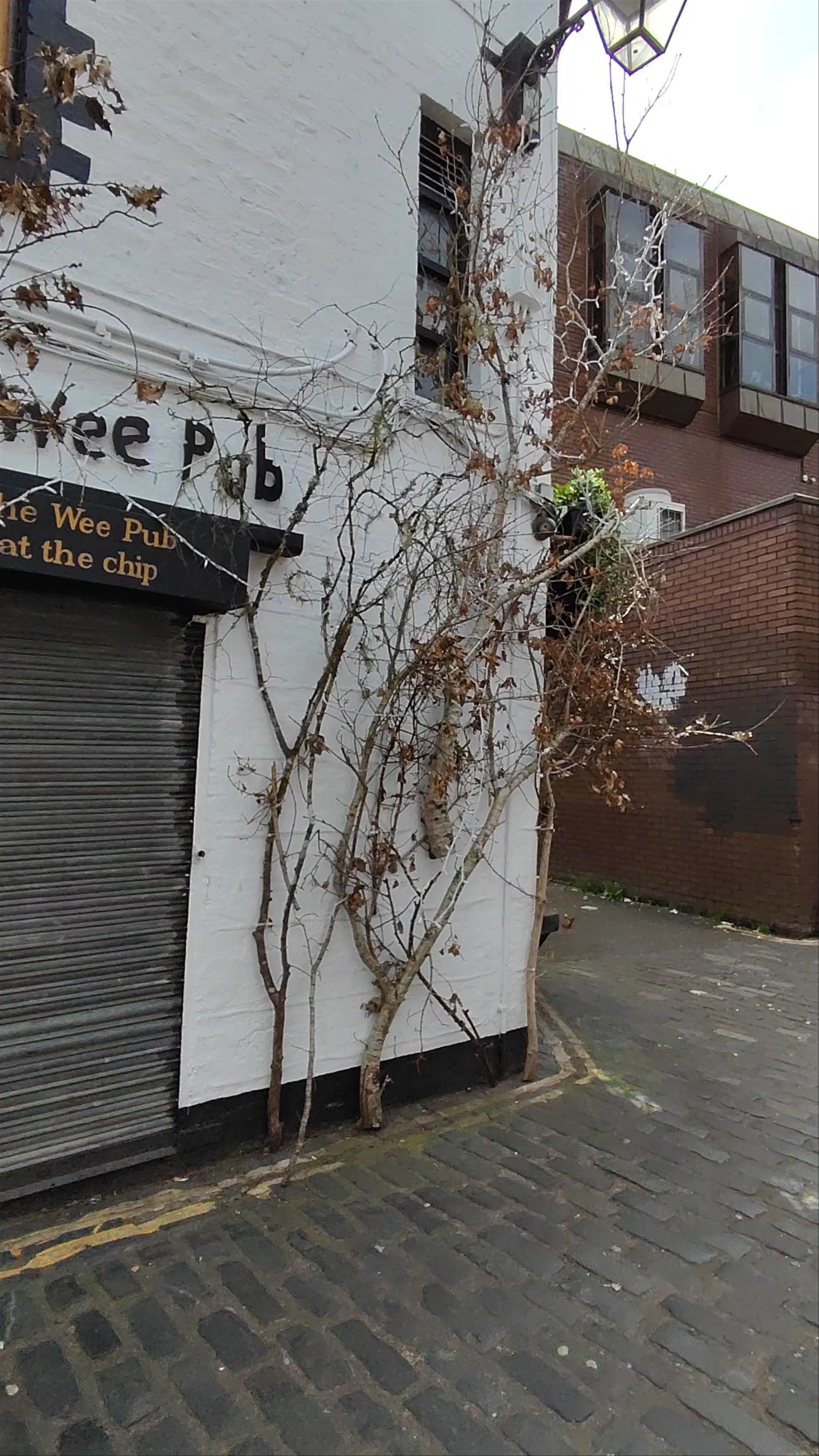 Ashton Lane Charm: Discover Glasgow’s Quaint Alleyway Pub