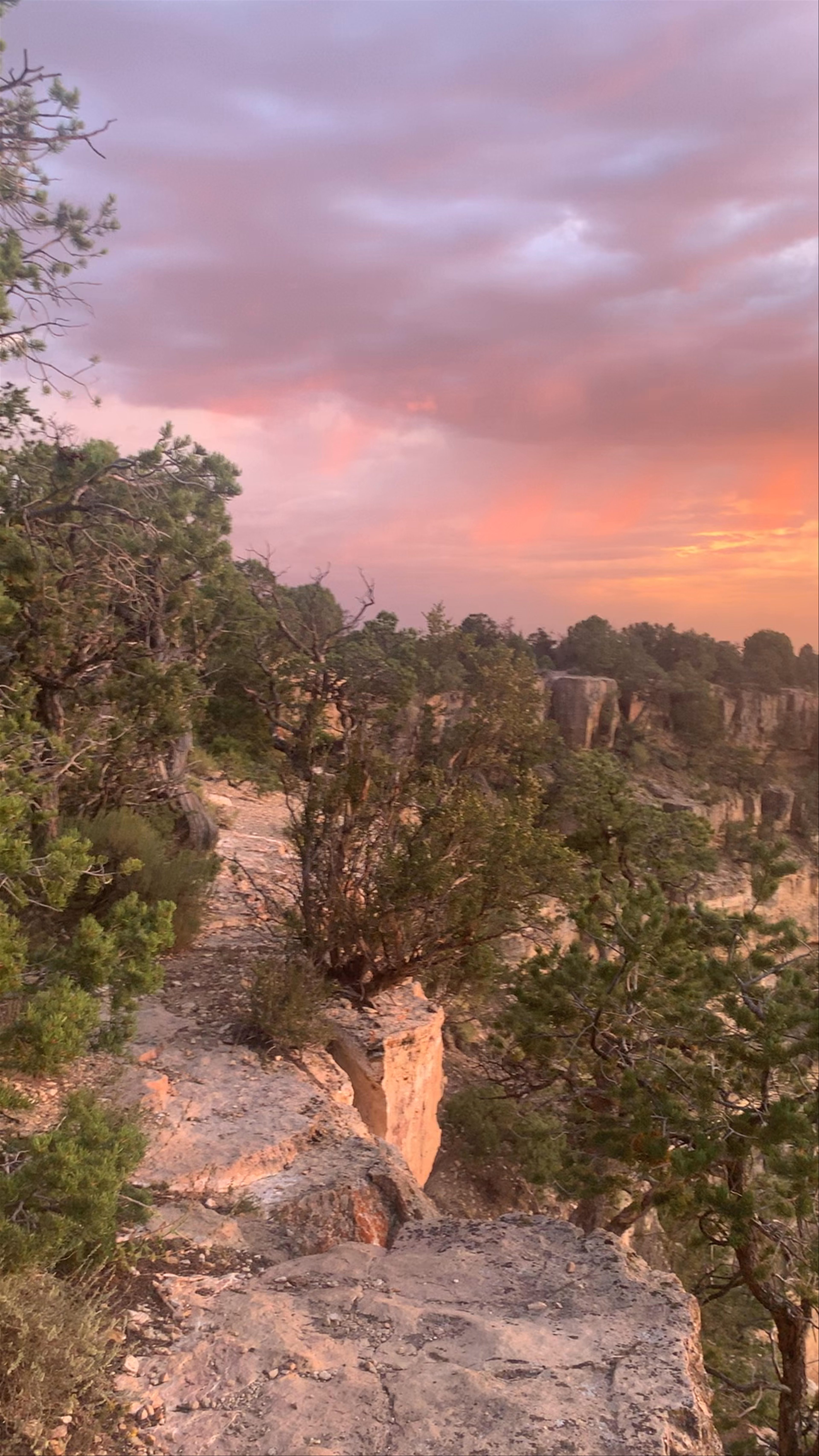 Grand Canyon National Park