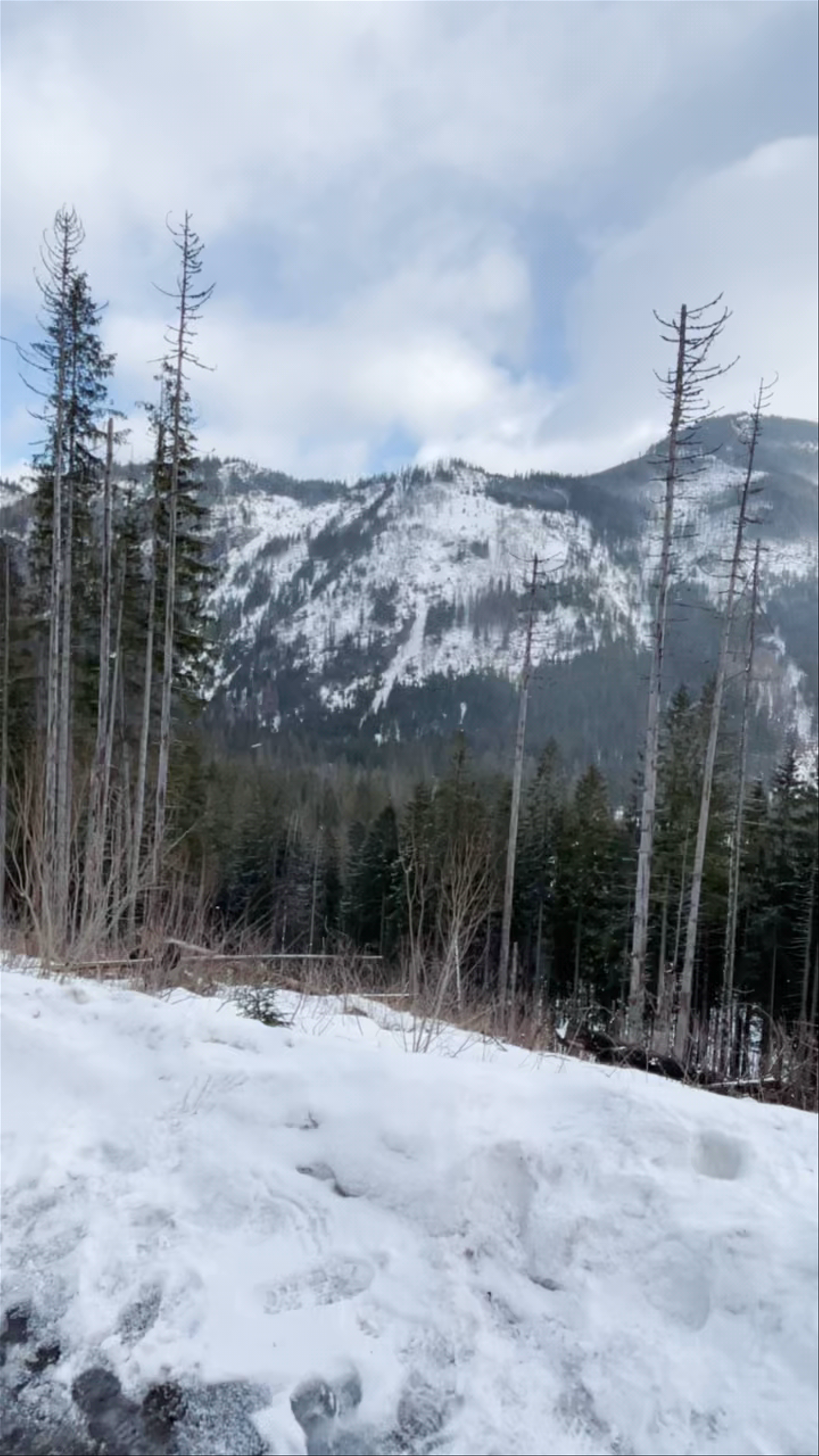 Niżnia Polana pod Wołoszynem