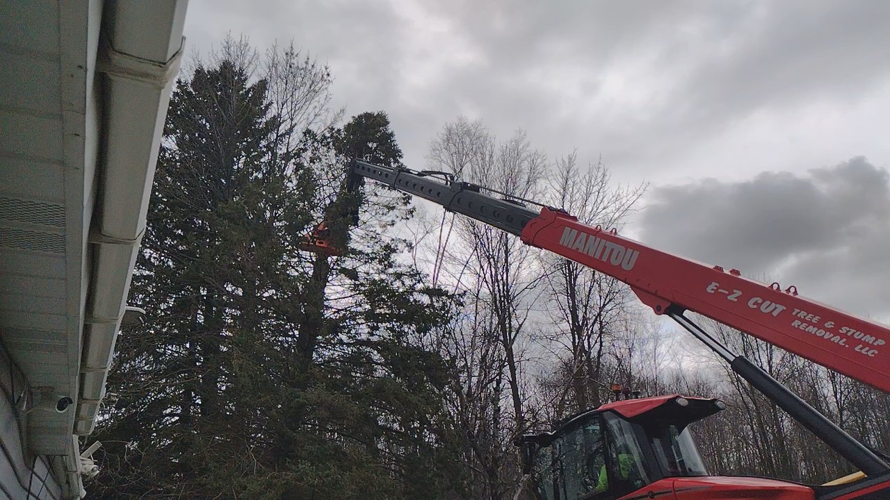 E Z Flow Seamless Gutters - Tree Services Near Me - Manitowoc, Wisconsin