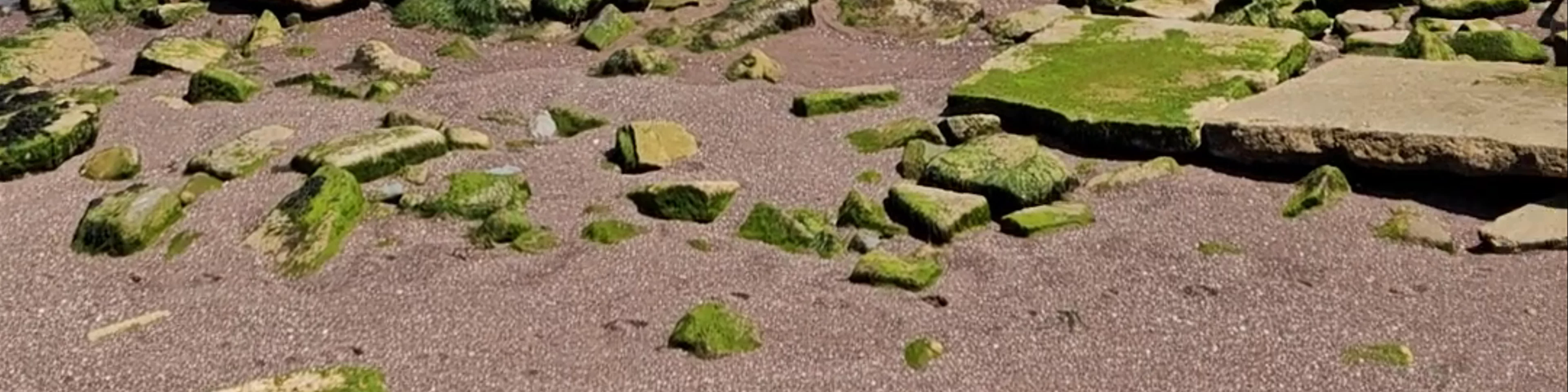Dawlish Warren Seaside