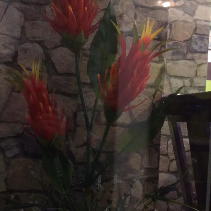 Lila - Wir haben neu umgebaut vor der Lila zwei Jahre alt...!! Lila Team haben vielen Dank für Ihre Treue Kunden..!! - Vietnamese Near Me - Kaiserslautern, RP