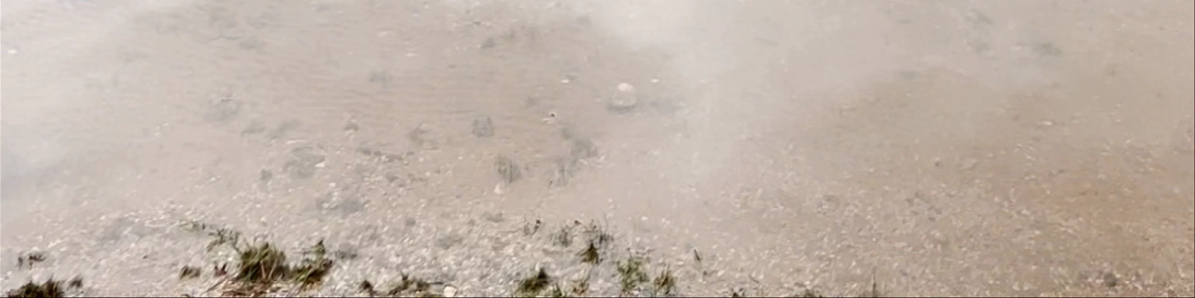 Black Lake