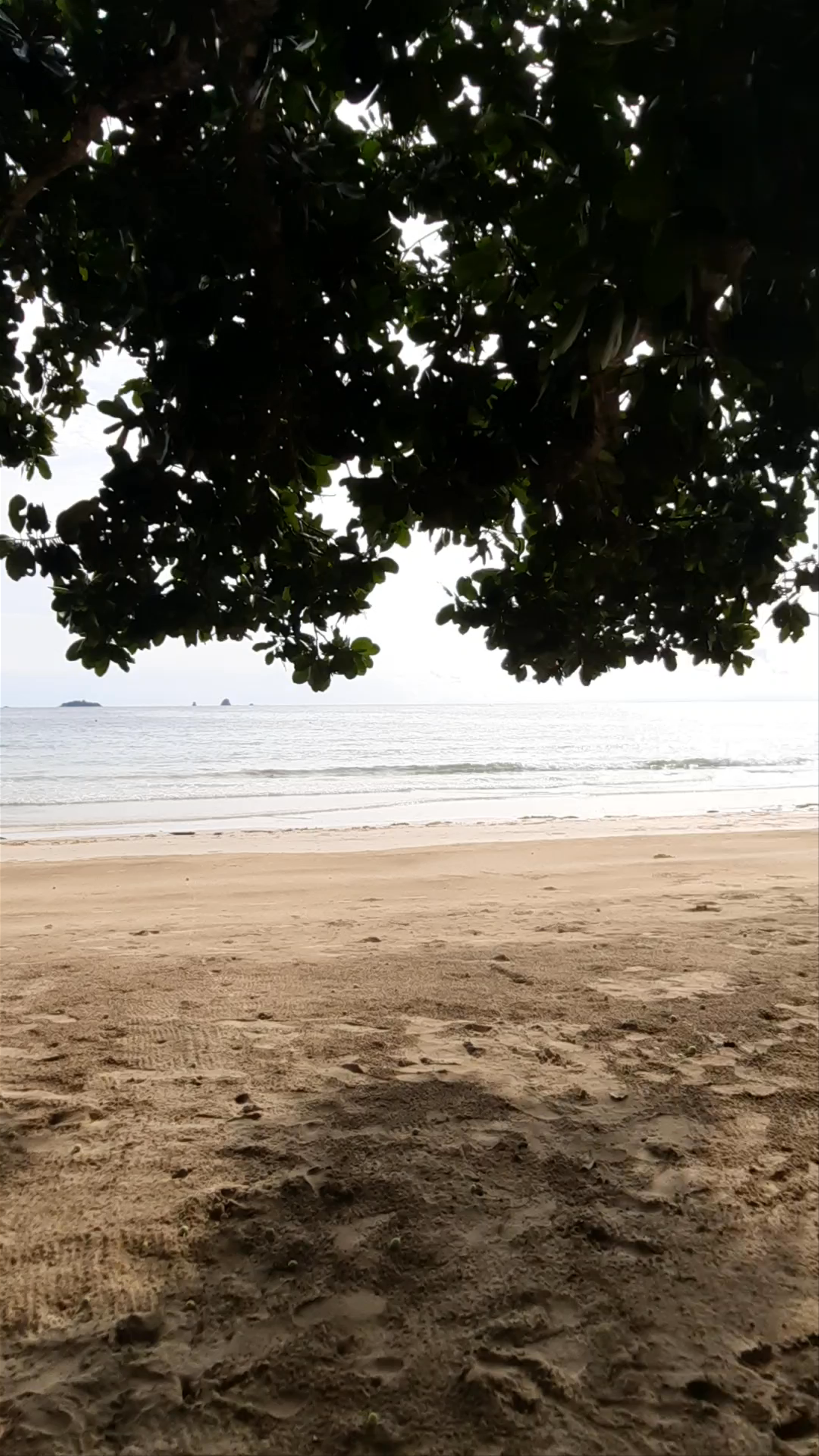 Tranquil Beach Escape at Pakpak-Lauin, Puerto Princesa City