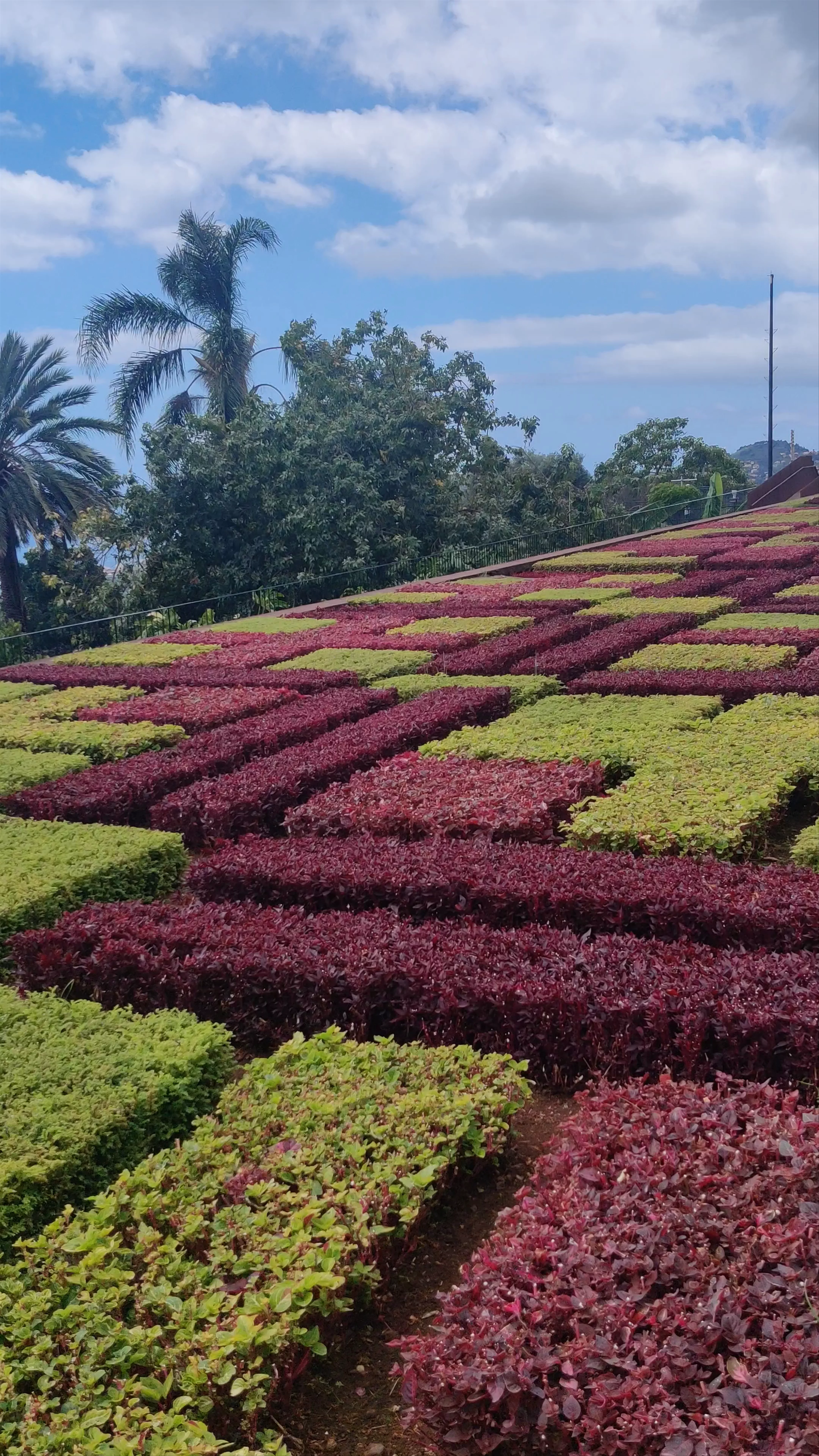 Jardim Botânico da Madeira, Funchal, Portugal