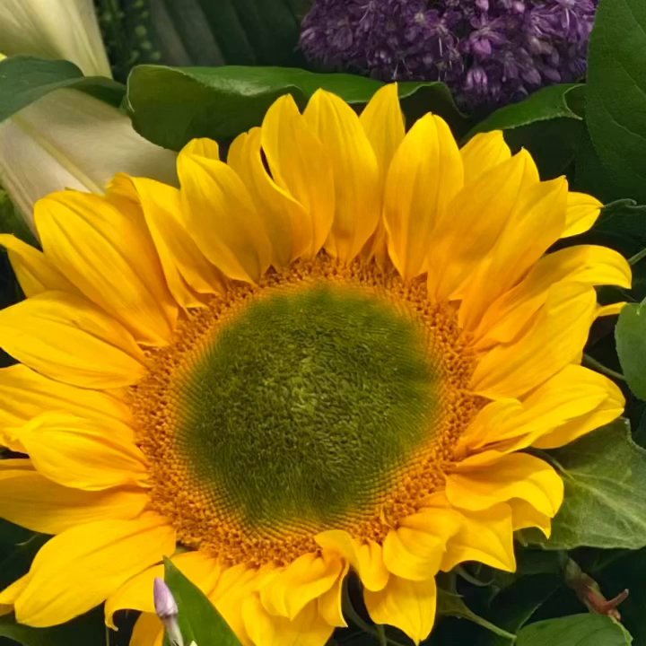 Fleur Boutique Interflora florist - Florists Near Me - Much Hoole, LAN