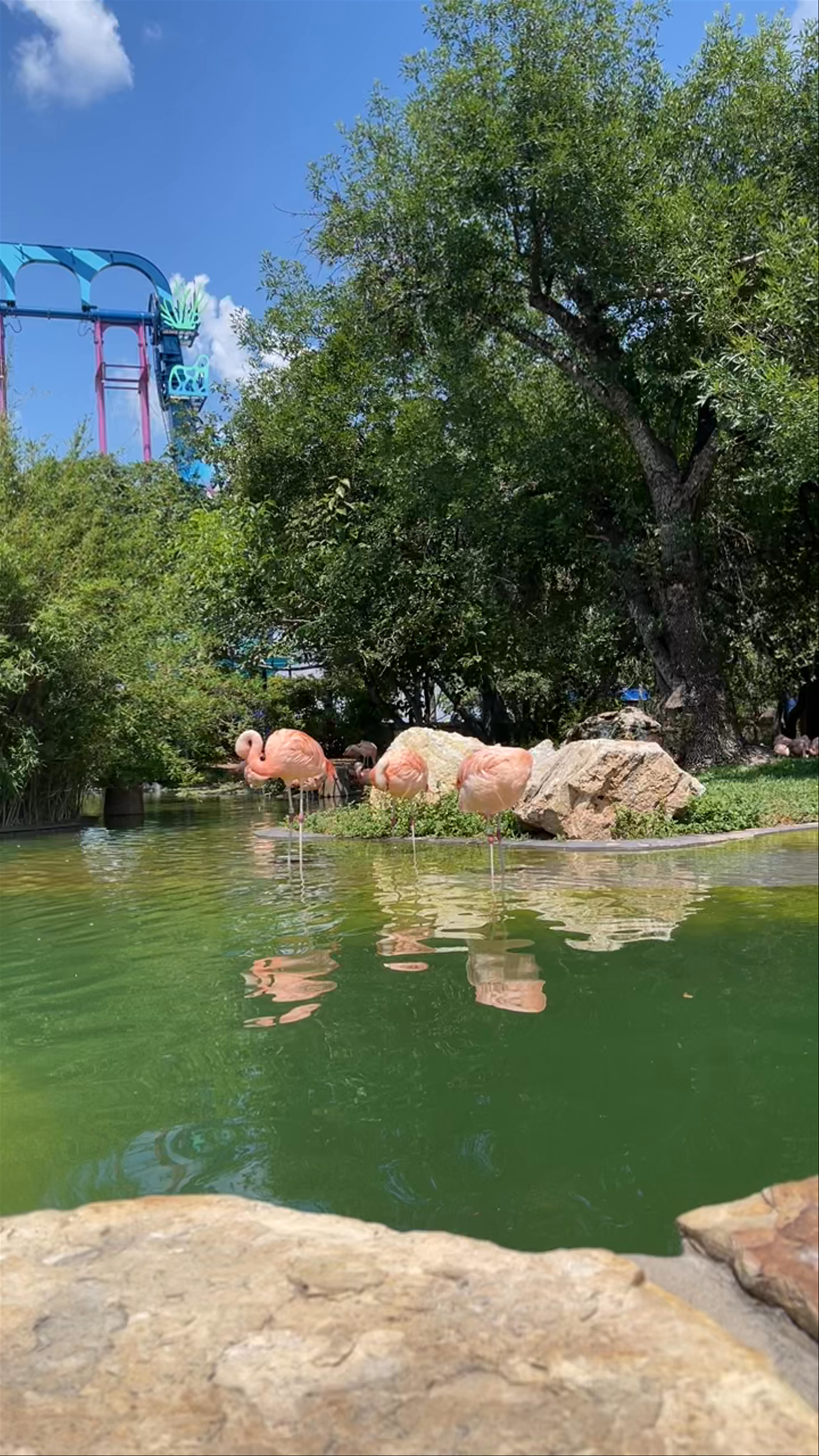 SeaWorld San Antonio