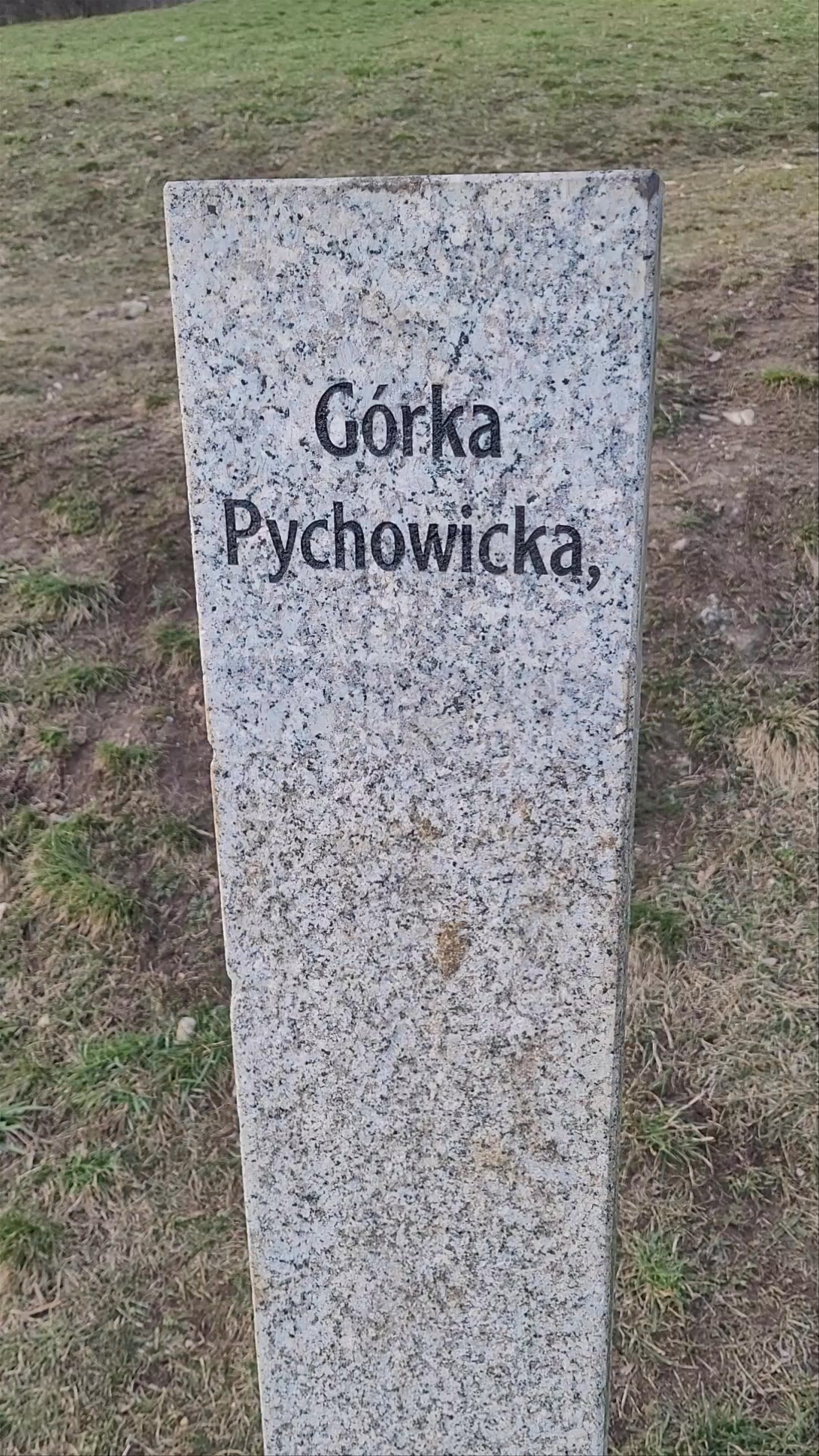 Górka Pychowicka