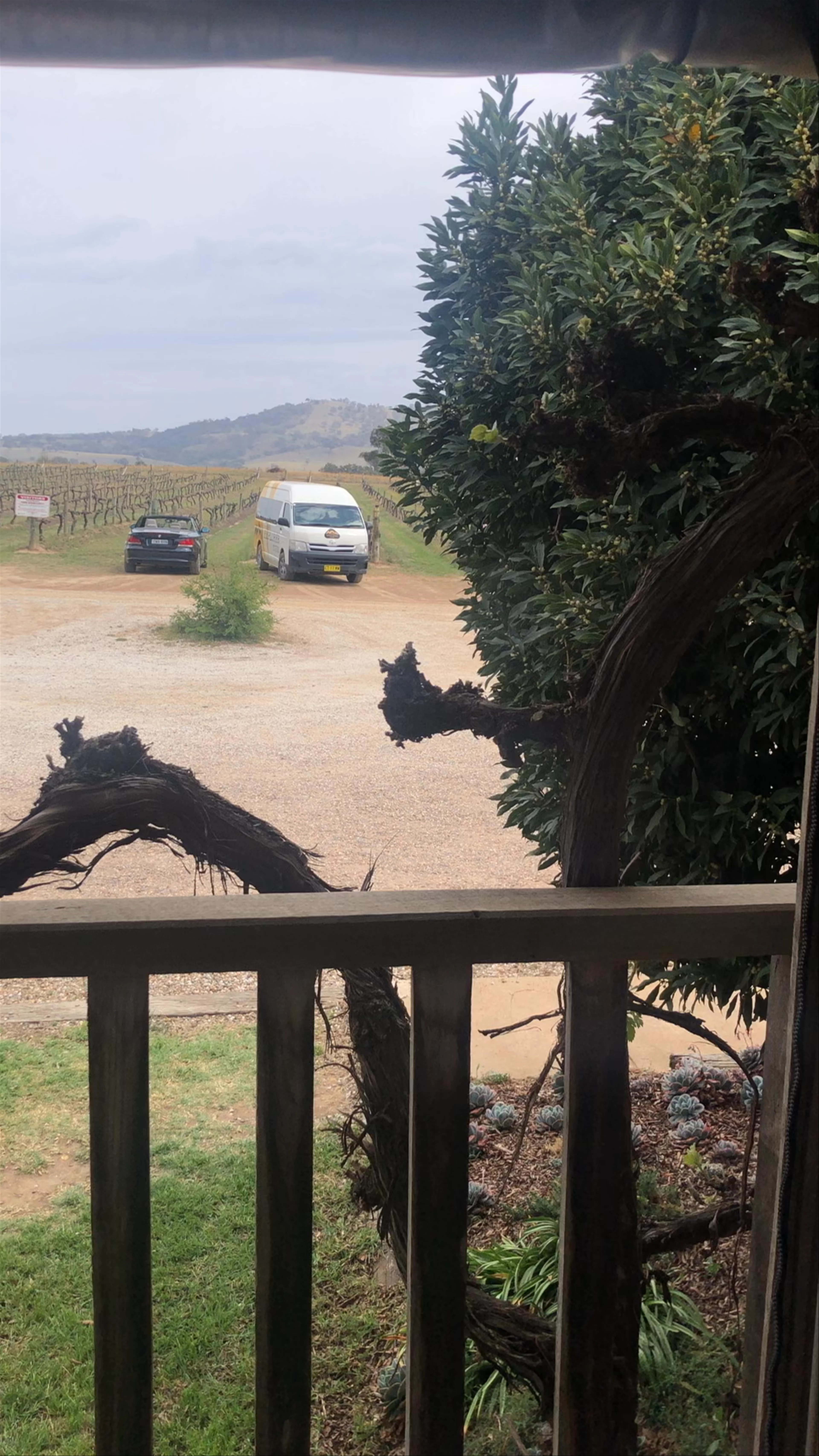 Burnbrae Wines