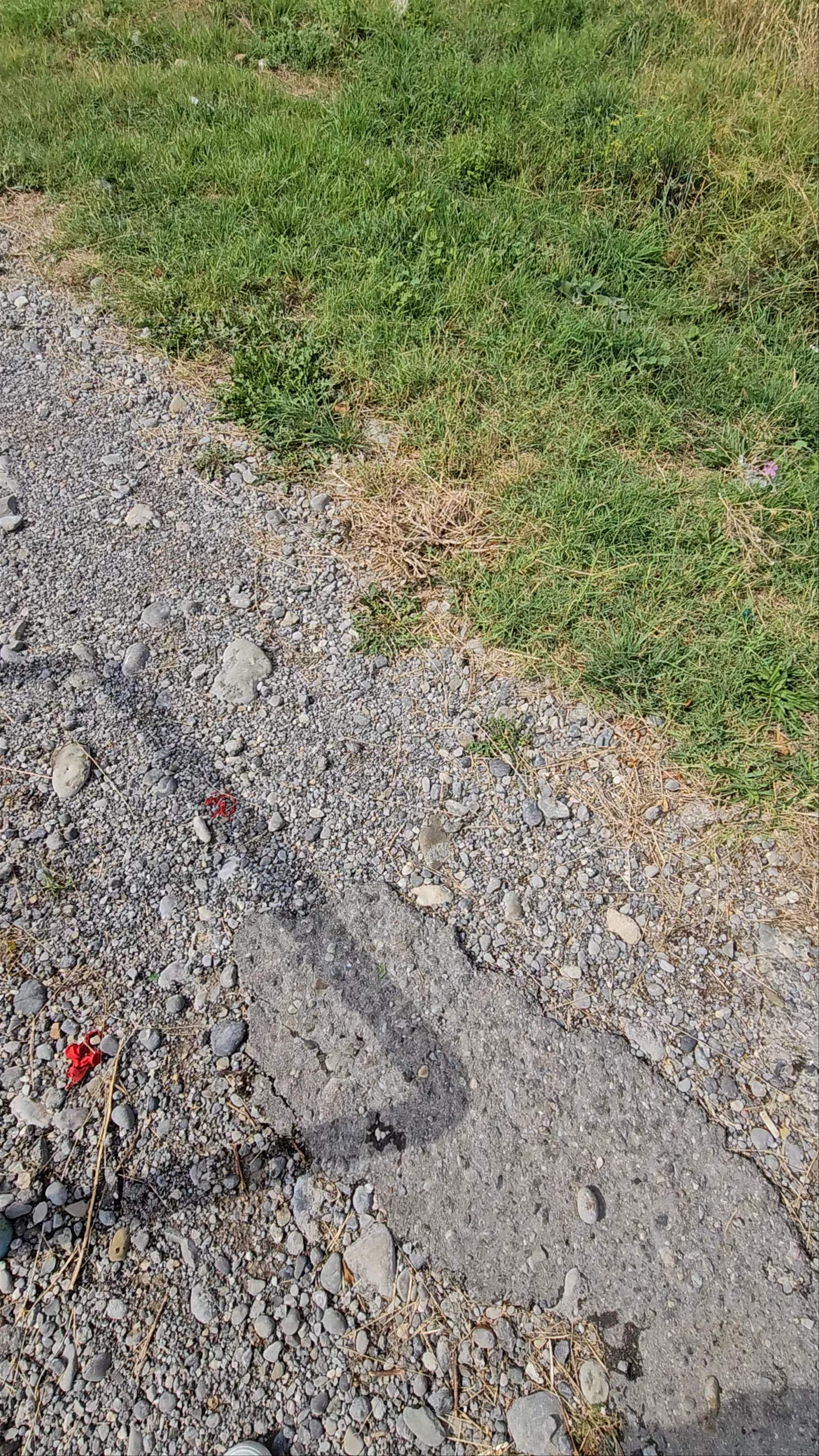 Orthodox Temple of Christ's Resurrection