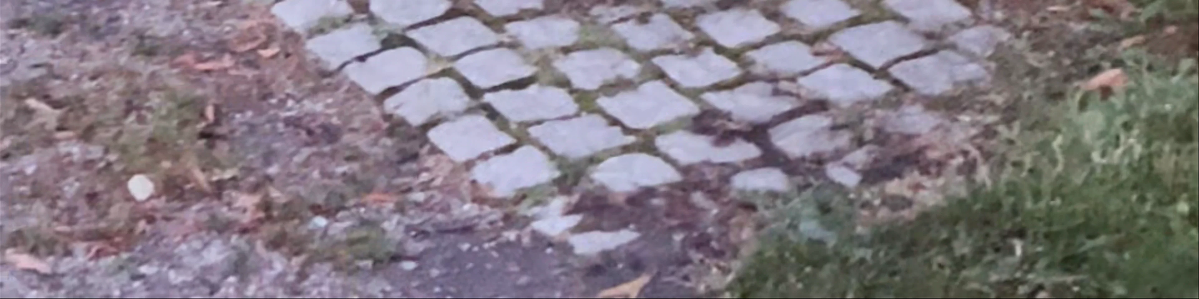 Kronobergsparken