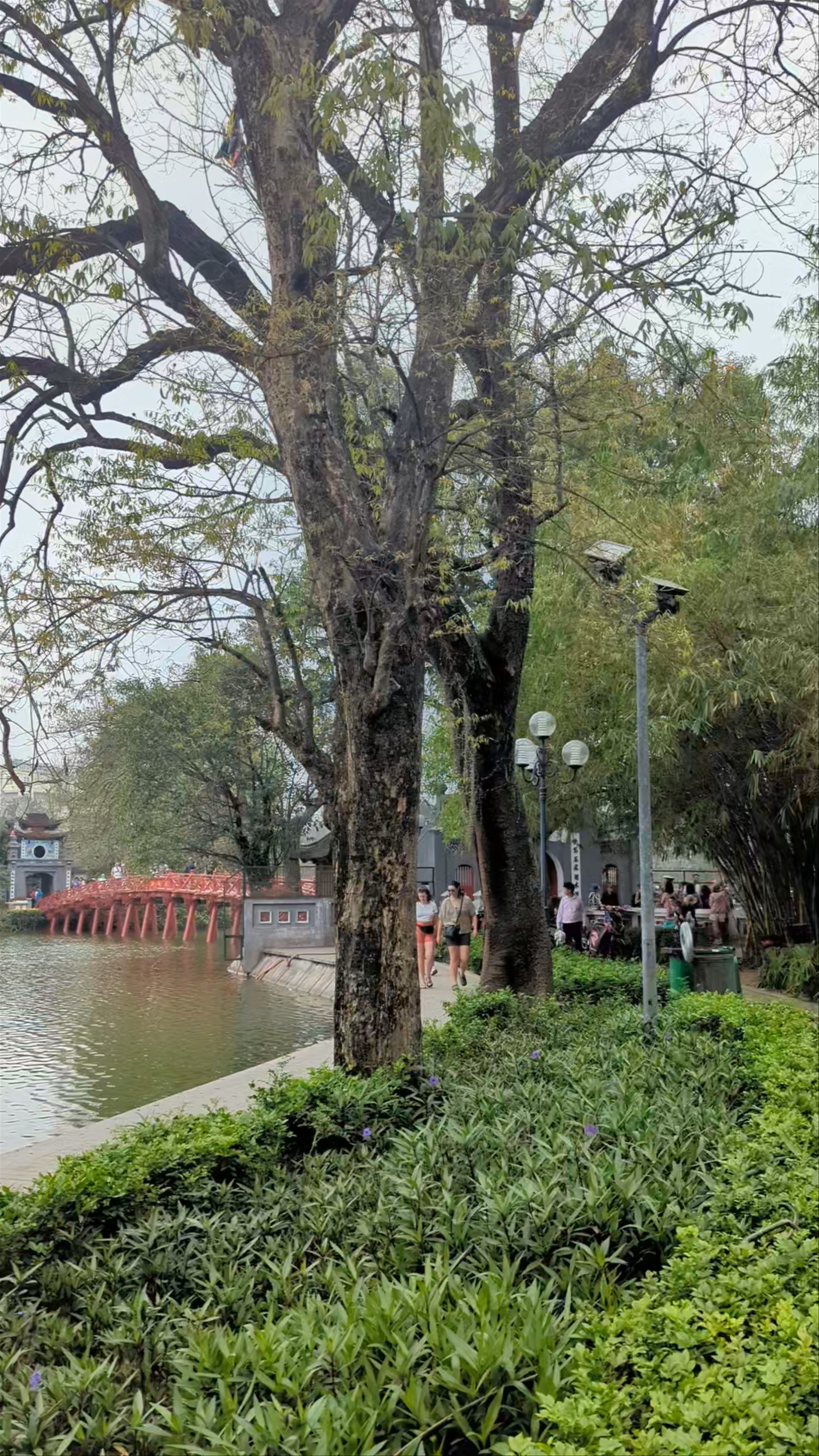 Serene Stroll Around Hoàn Kiếm Lake, Hanoi