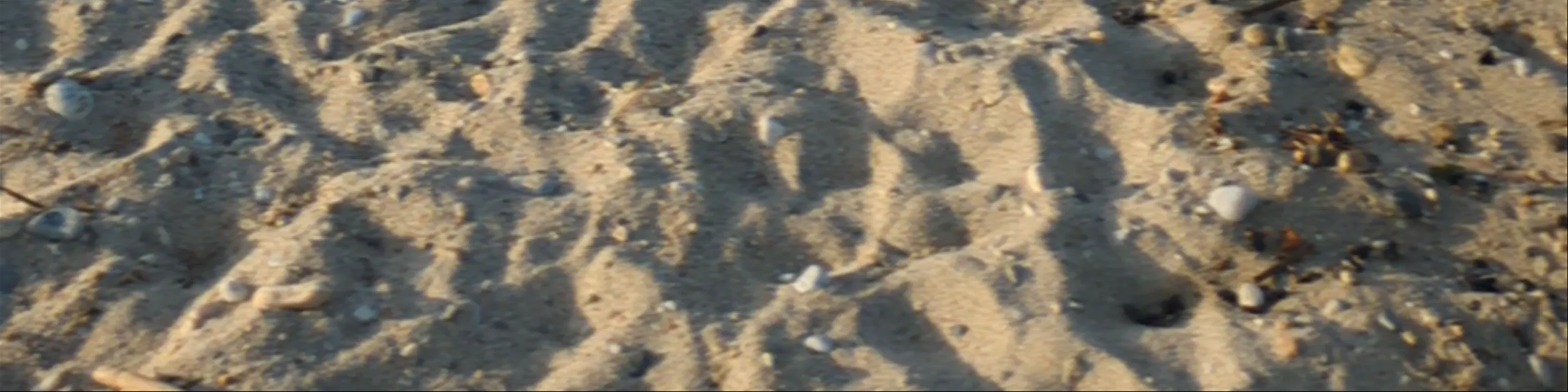 Avaton Luxury Resort