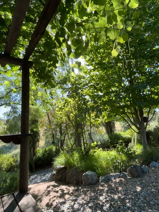 Eden Vale Inn - Beautiful grounds, springtime May 2026 - Bed & Breakfast Near Me - Placerville, California