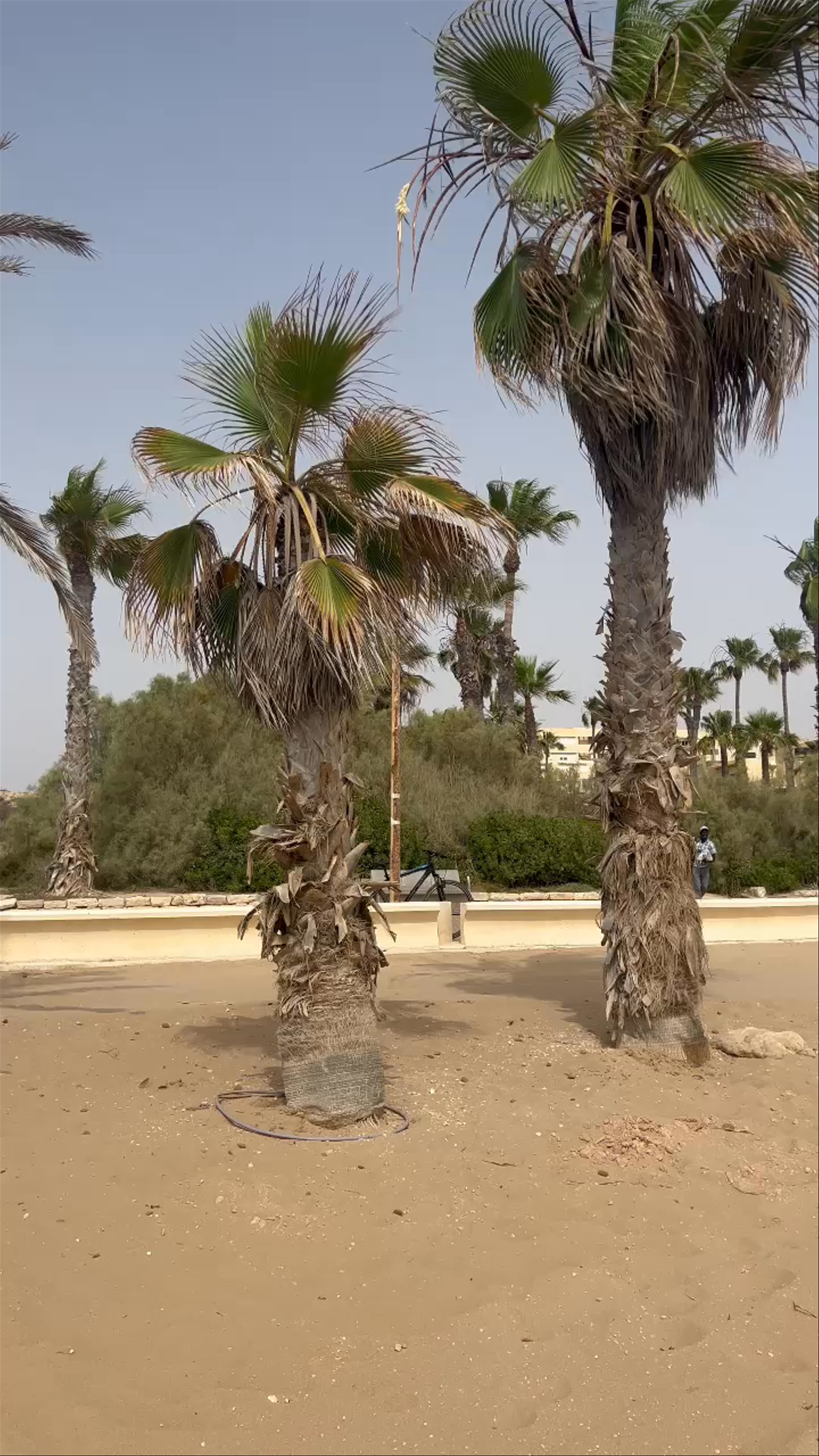 Playa del Saladar