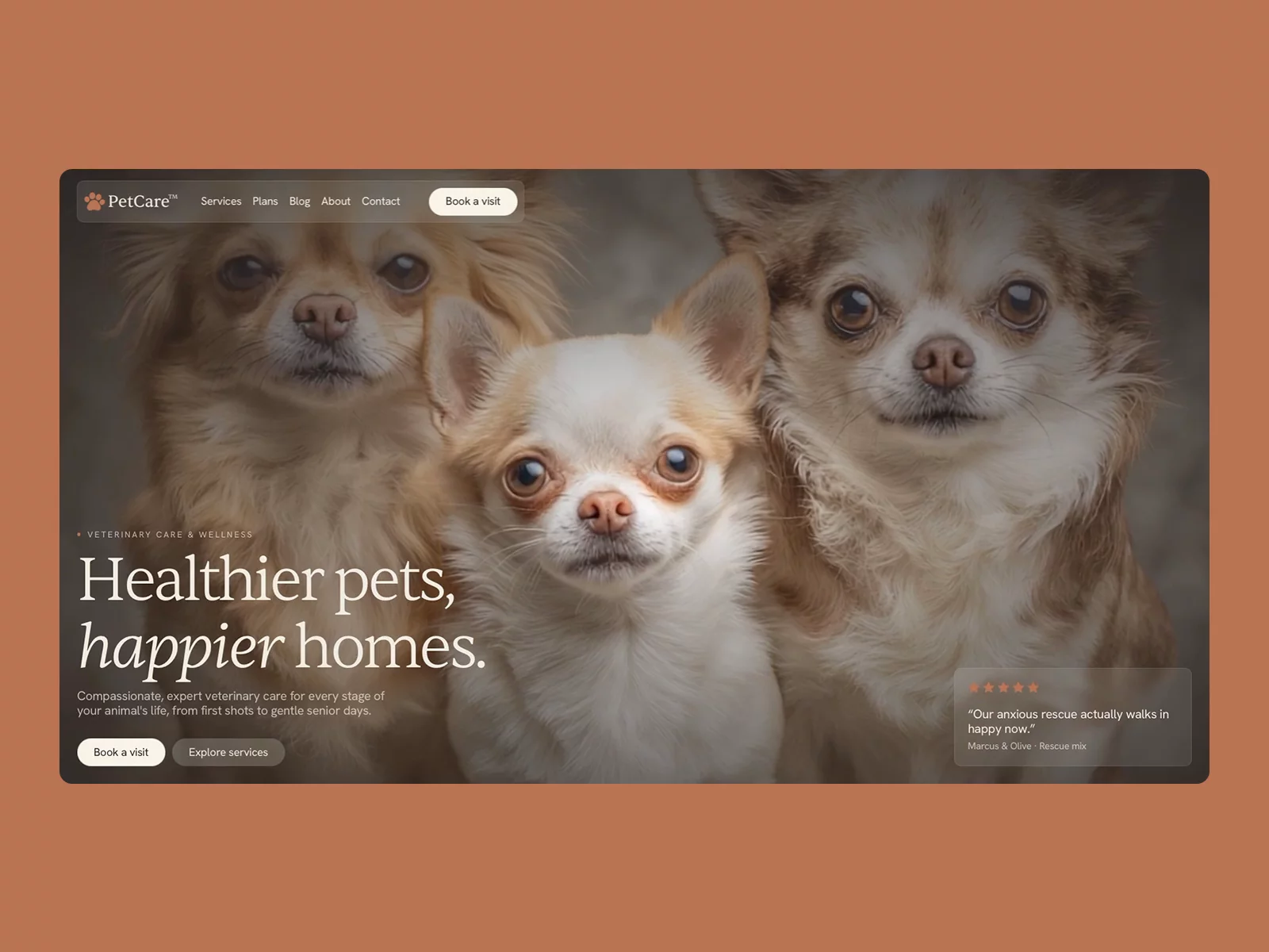 Pet Care