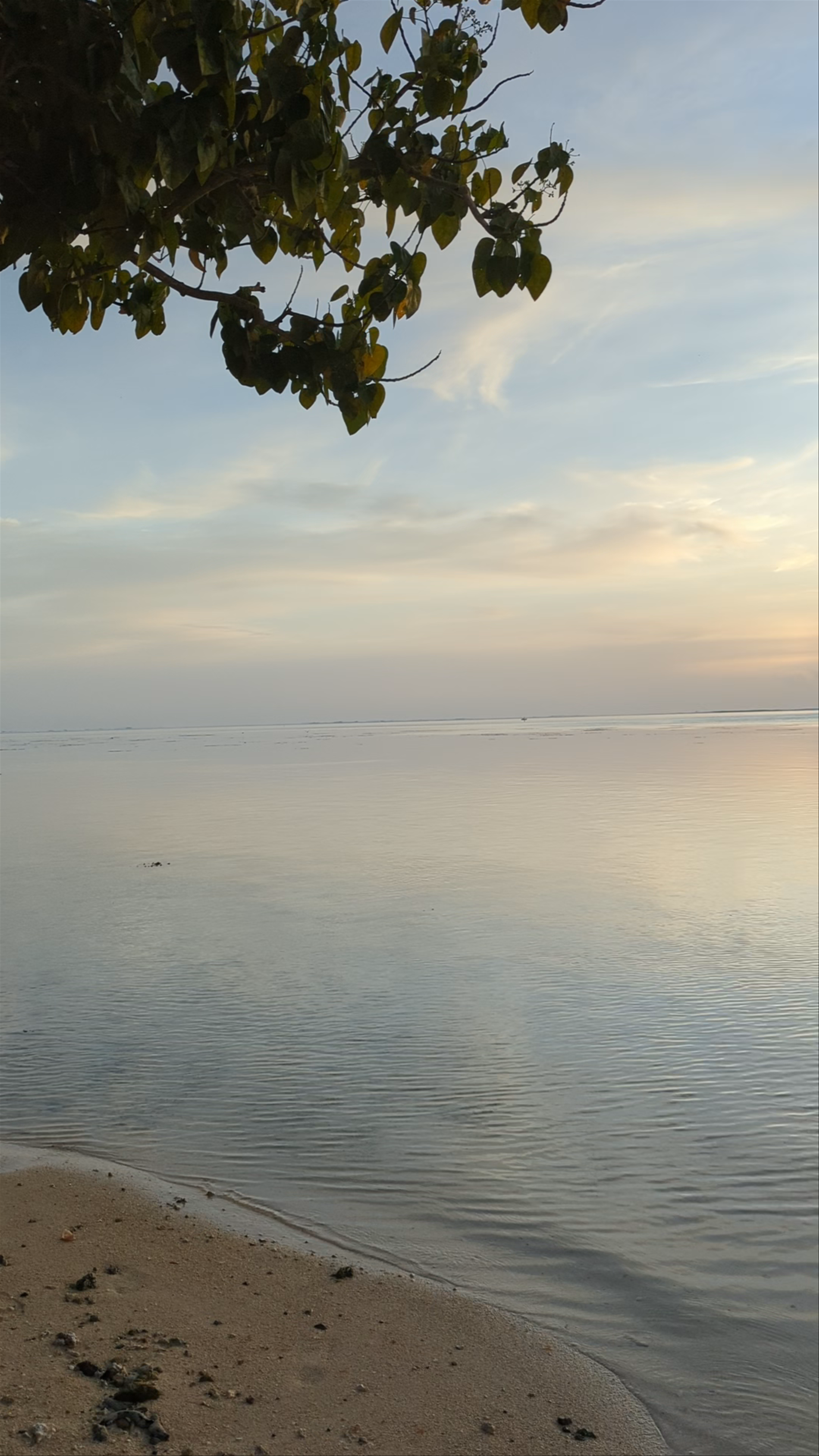 Avea Bay - Avea Beach - Huahine