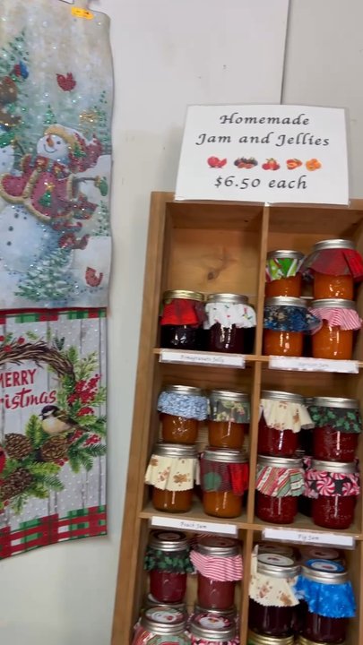 Pine Country Christmas Tree Farm - Homemade jams! - Christmas Trees Near Me - Gustine, California