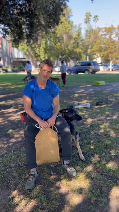 K9-INDIGO - Nick Baga & Gypsy review - Supreme Package - Pet Training Near Me