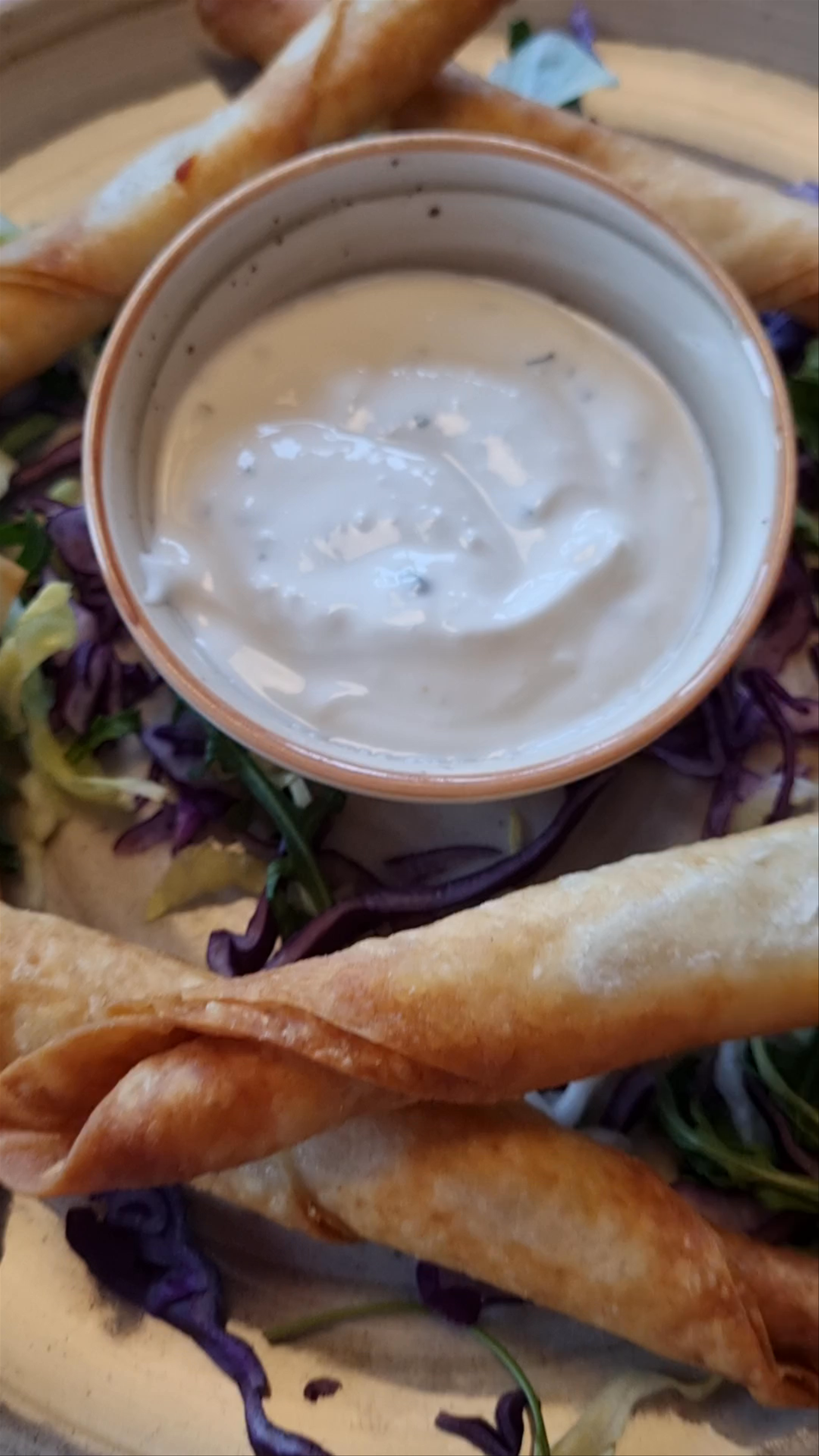 Bistro Kaktus Culinary Delights in Velika Gorica, Croatia