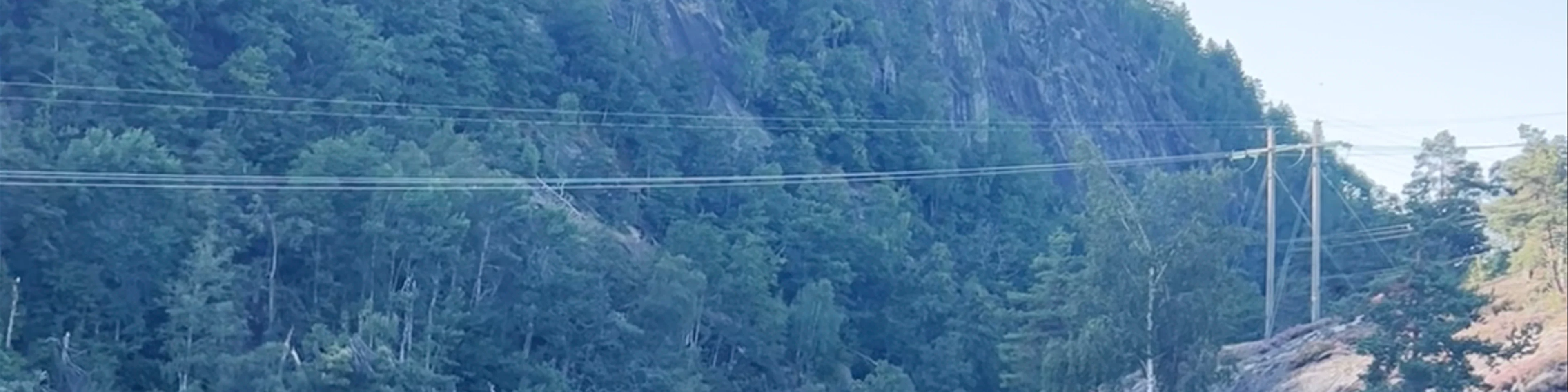 Tømmerrenne