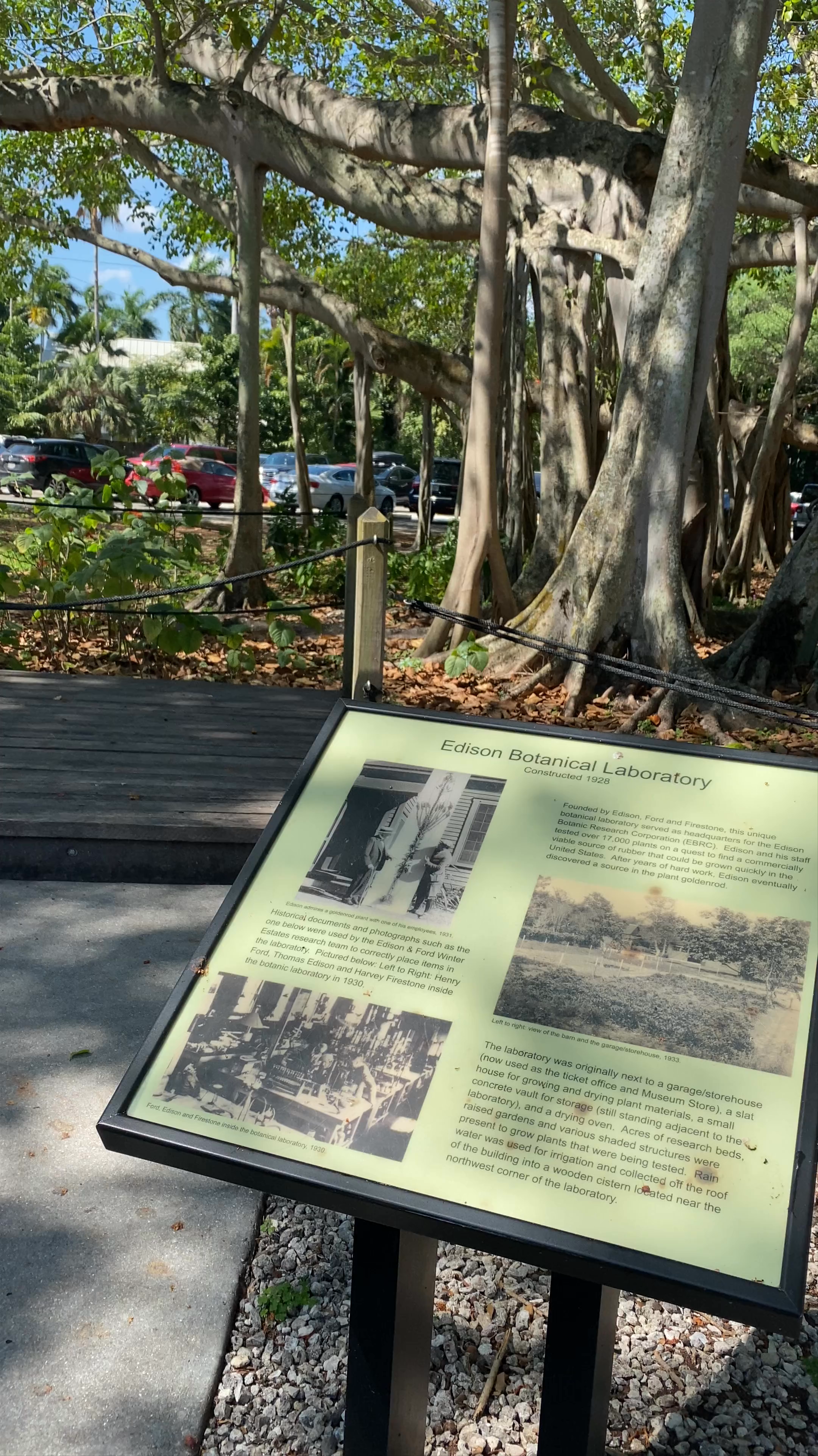 Edison & Ford Winter Estates