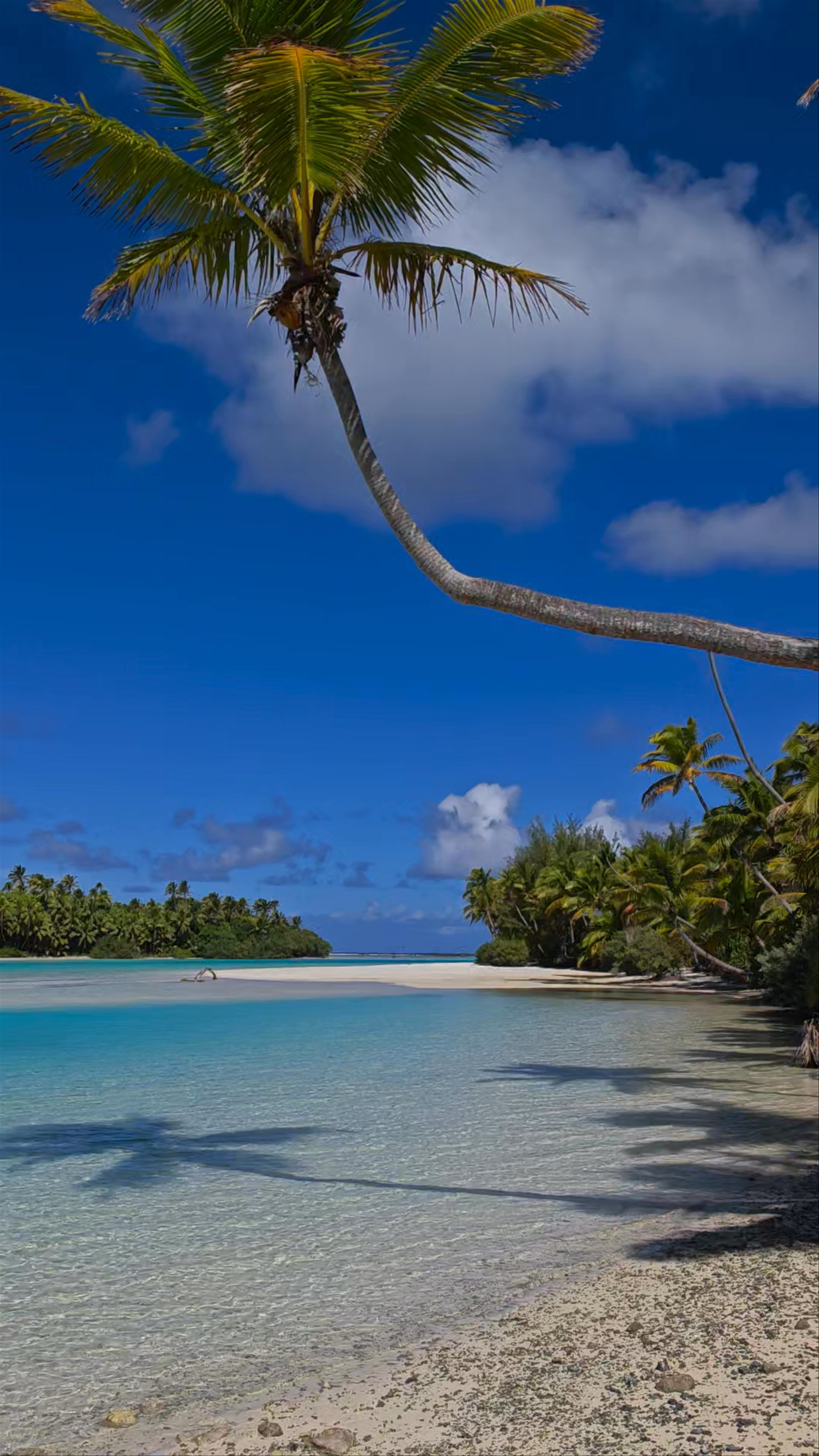 Teking Lagoon Cruises