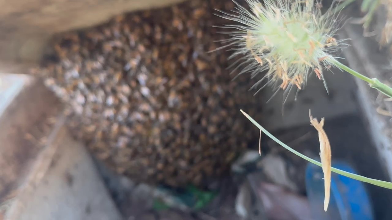Video thumbnail 2 more videos