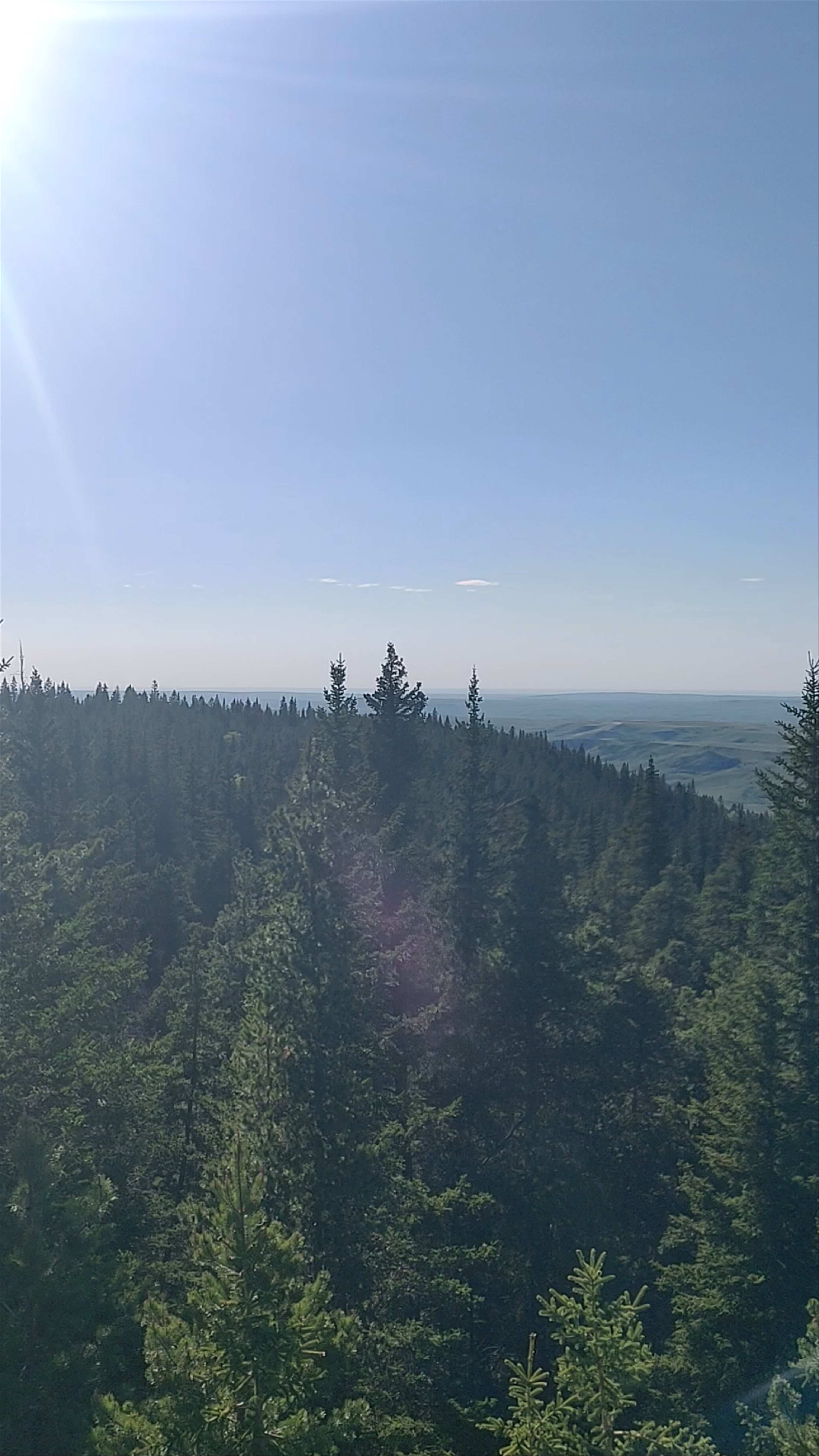 Horseshoe Canyon Lookout