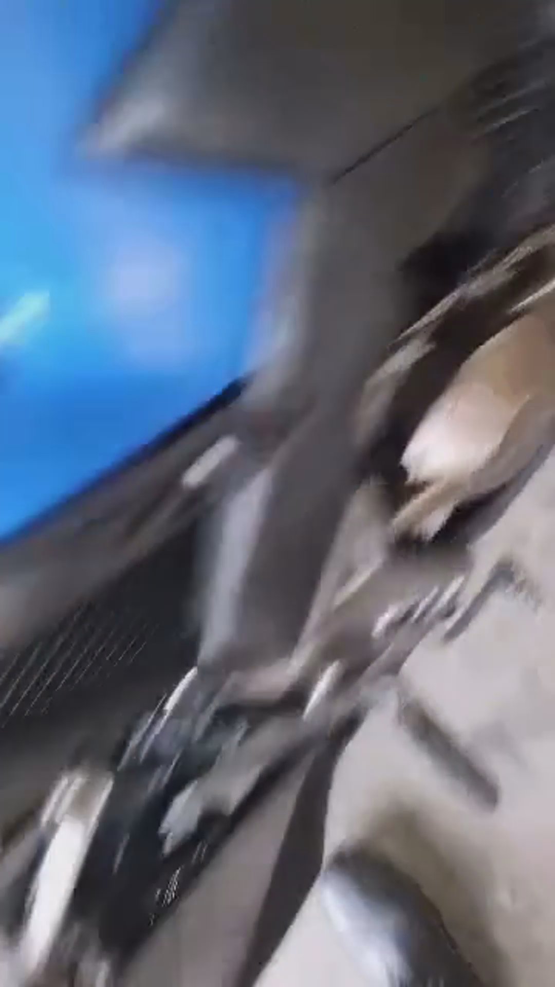 Walk-around video thumbnail