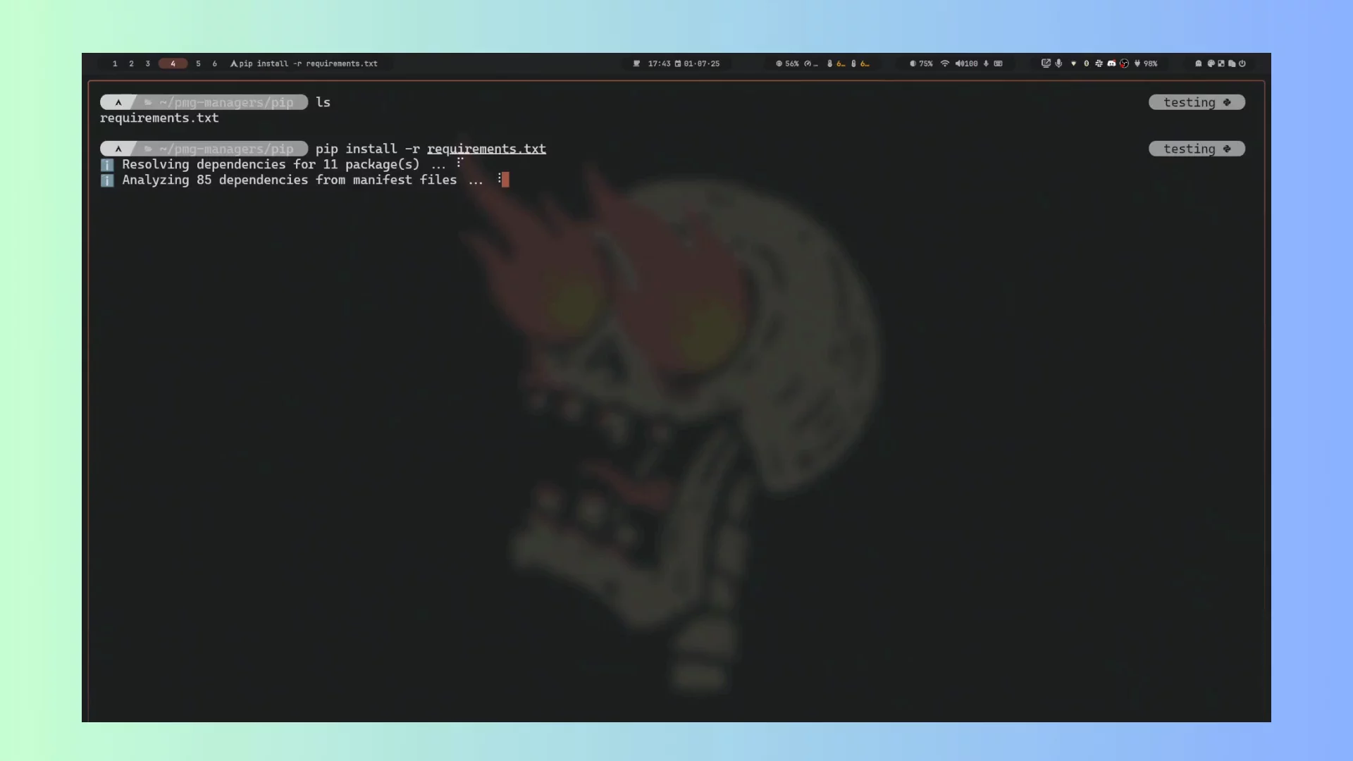 PMG (Package Manager Guard) image 1