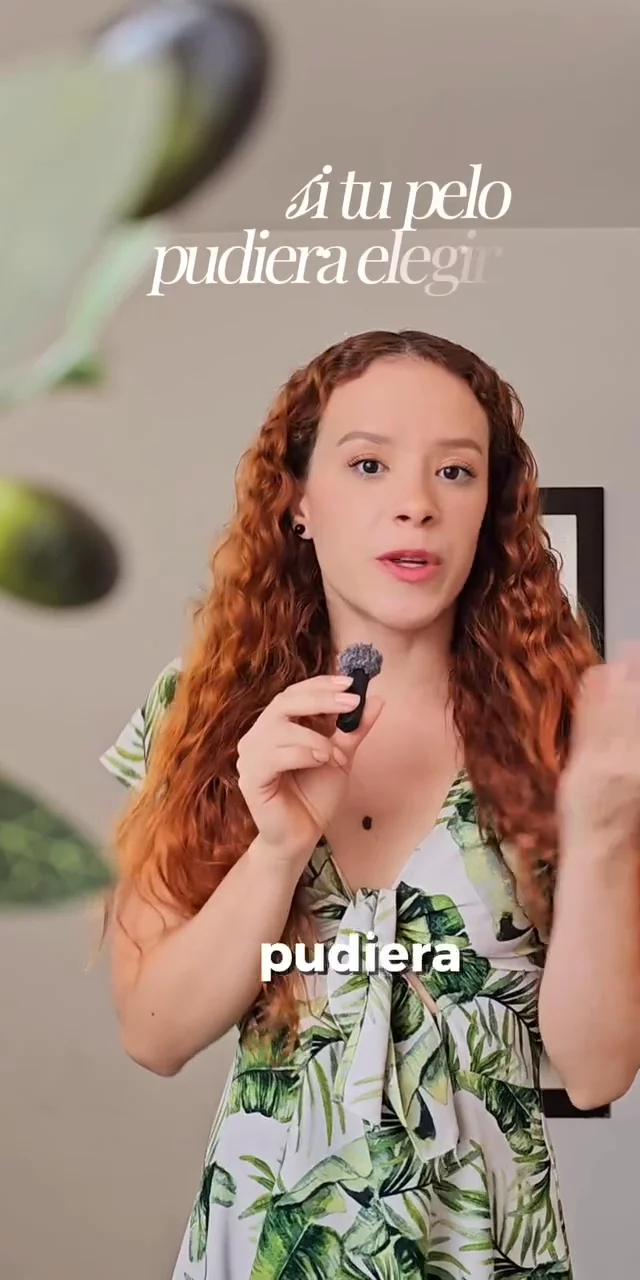 Contenido del creador