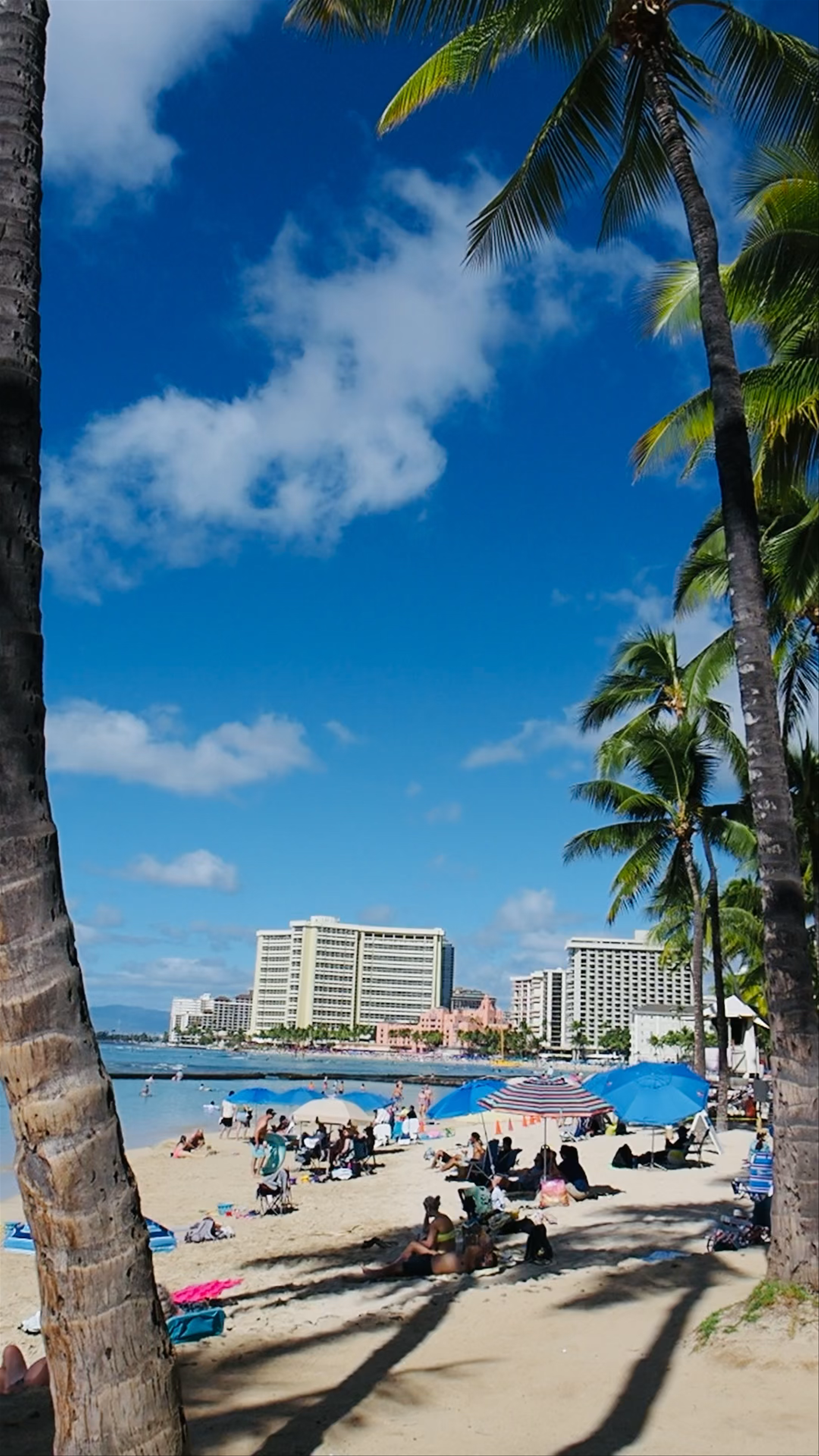 Waikīkī Beach: The Heartbeat of Honolulu’s Shoreline