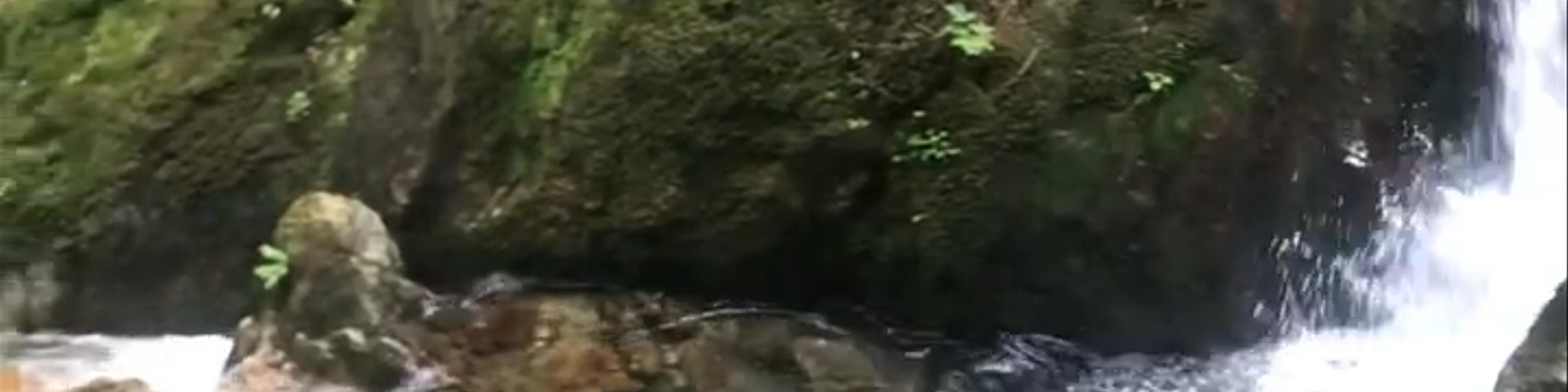 Oţelu Roşu