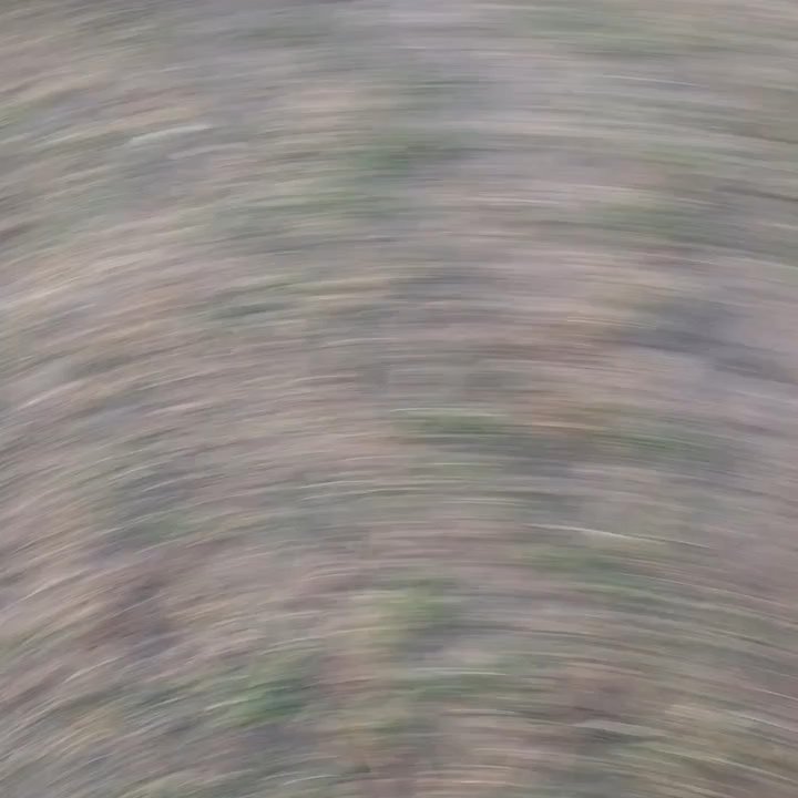 Prospect Park Dog Run - Born free... - Dog Parks Near Me - Brooklyn, New York