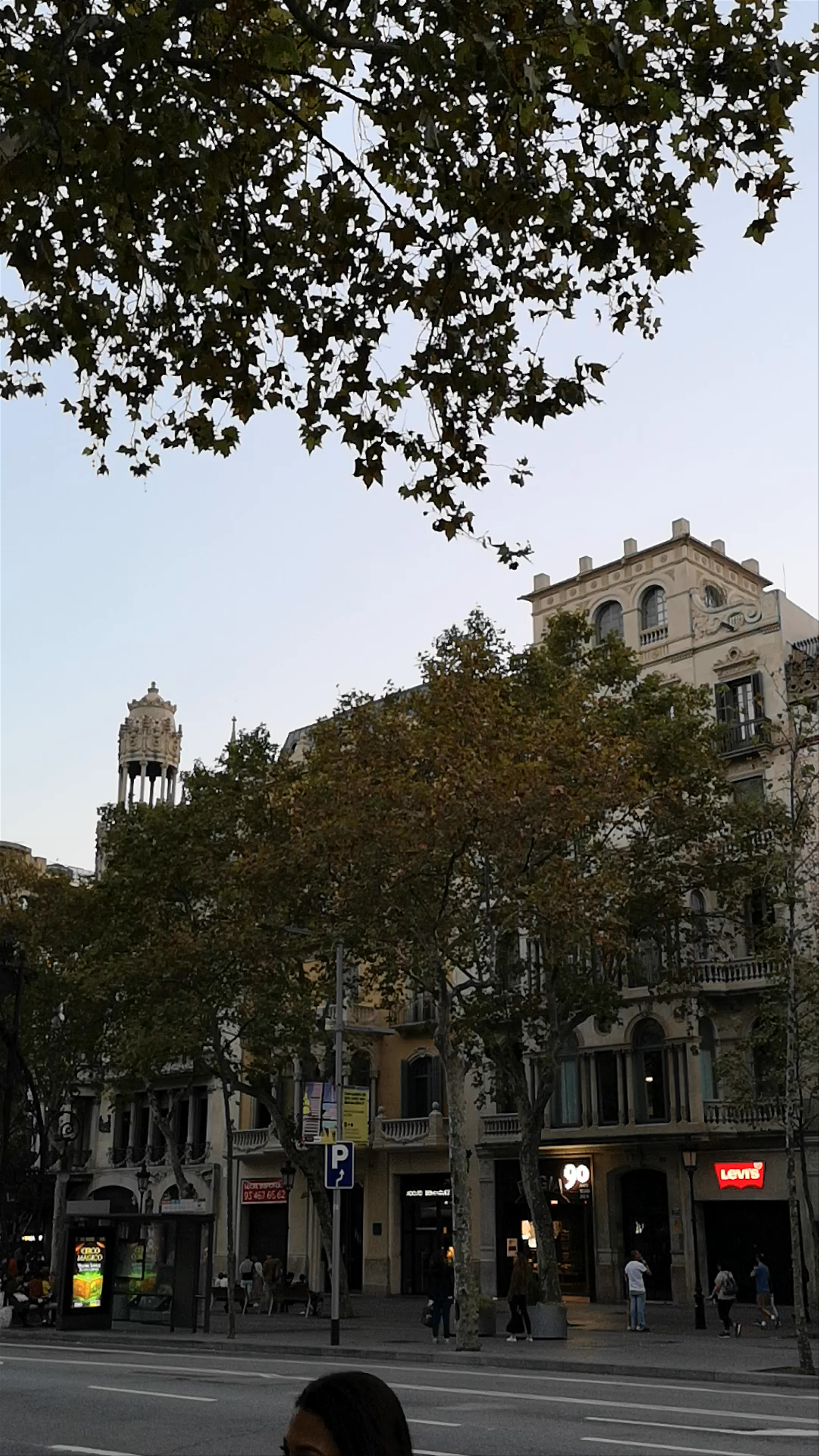 Casa Batlló: Gaudí’s Architectural Masterpiece in Barcelona