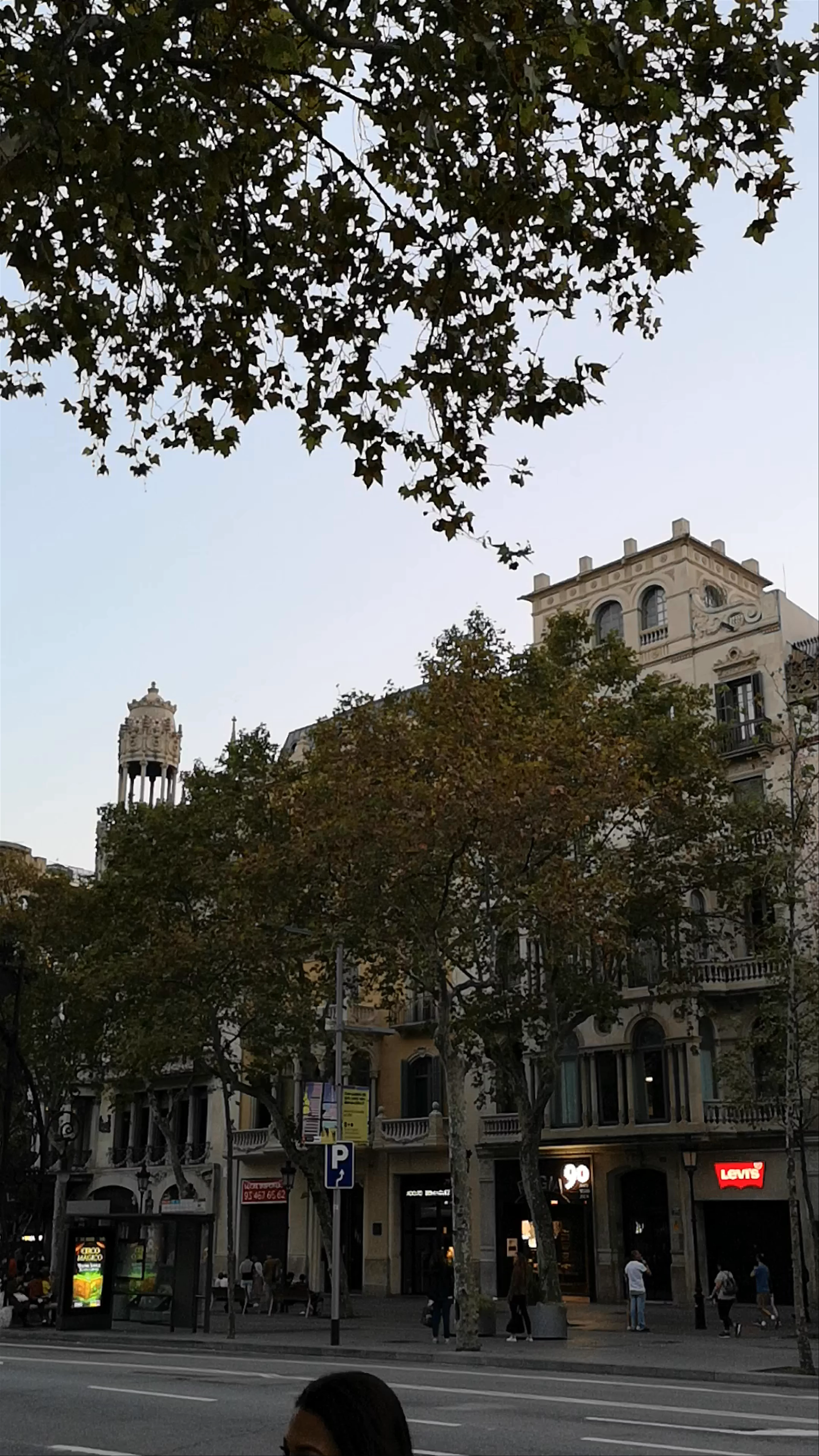Casa Batlló, Passeig de Gràcia, Barcelona, Spain