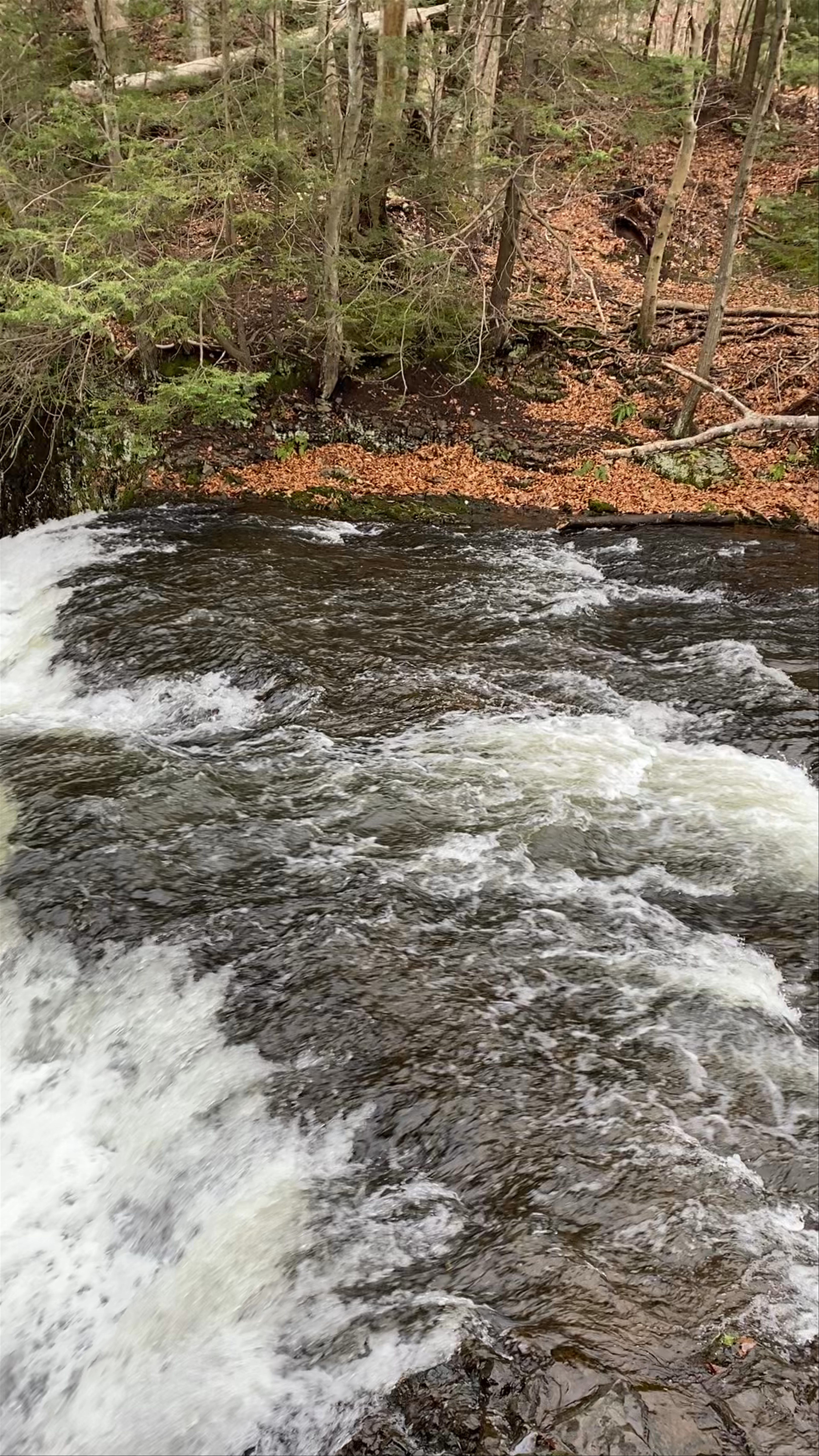 Wadsworth Falls State Park