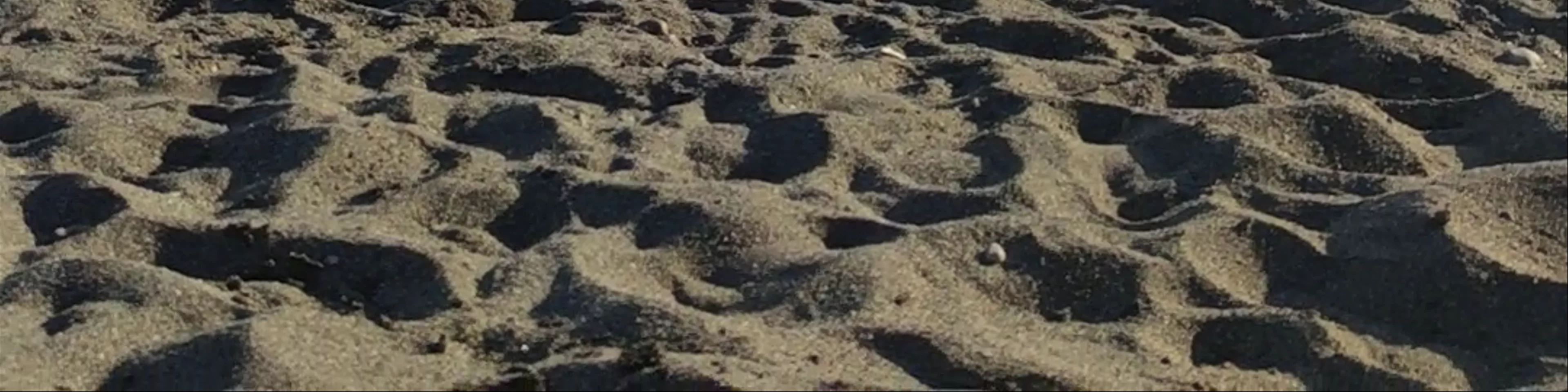Playa de la Malagueta (Málaga)
