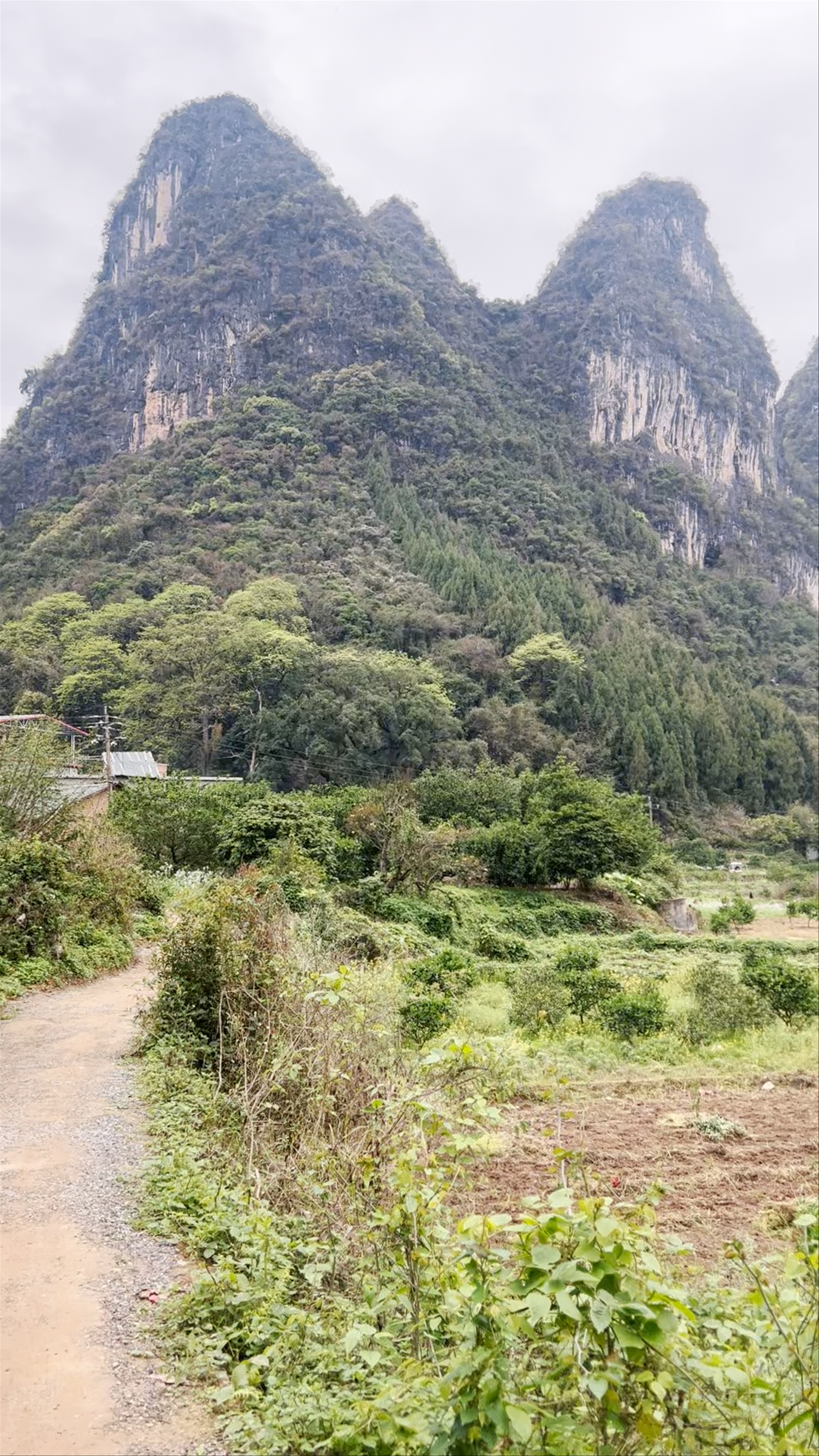 Jiuma Huashan Xiagu Drift Scenic Area