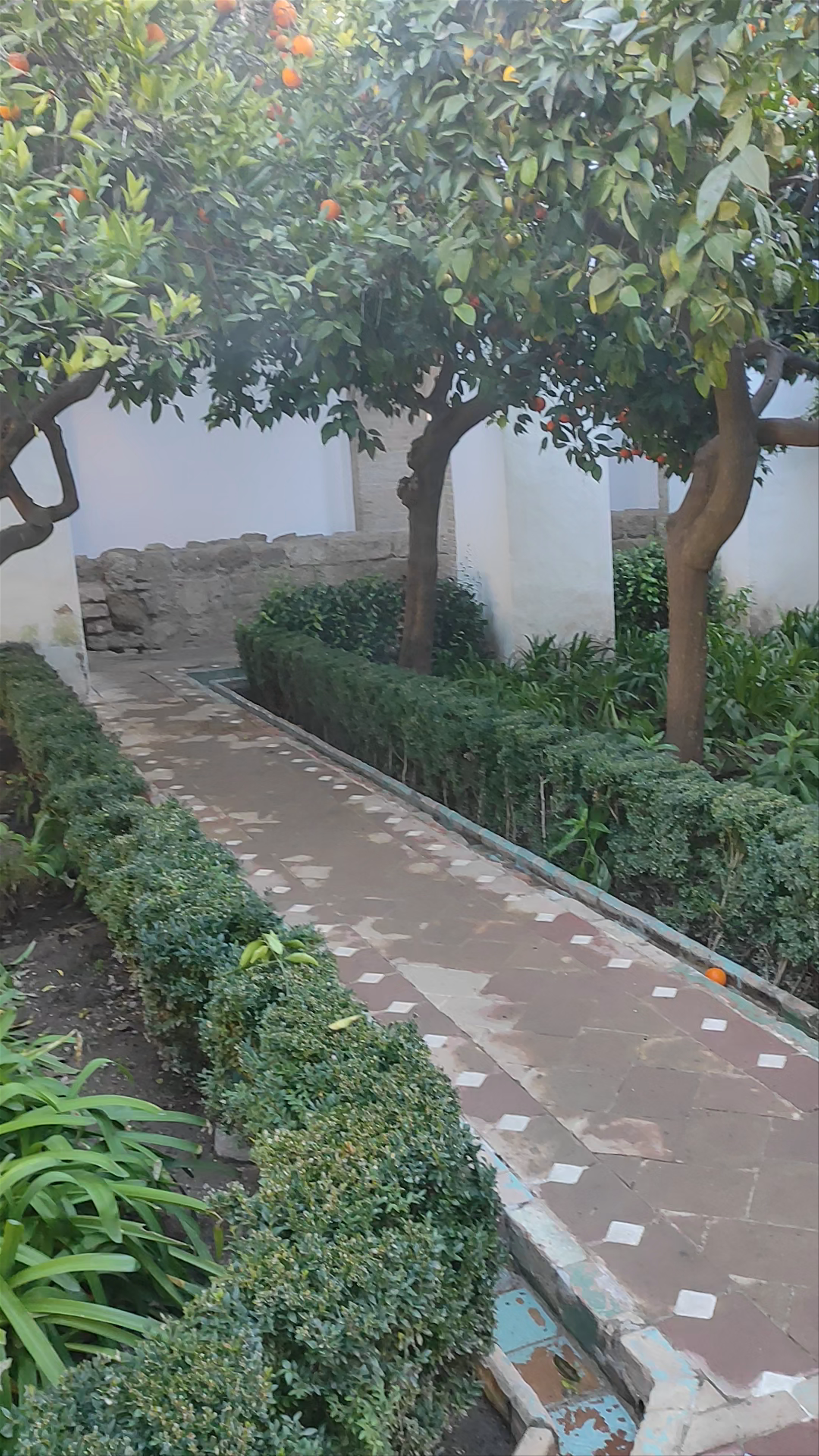Patio Morisco - Alcázar de los Reyes Cristianos