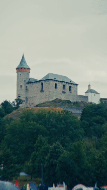 DivokejBill