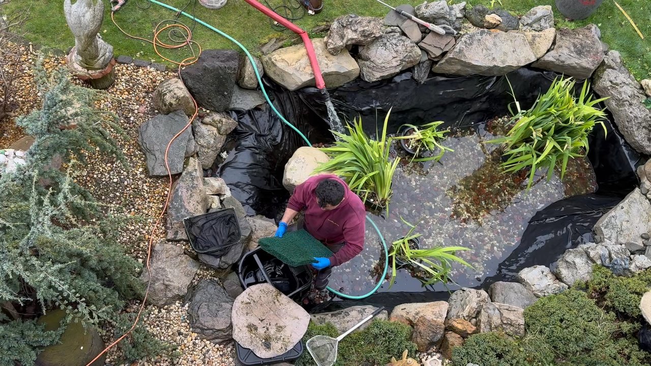 Paradise Ponds - Landscape Architects or Designers Near Me