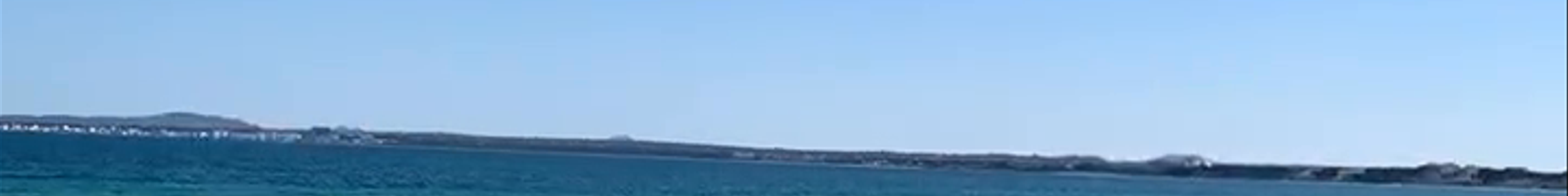 Tours & experiences in Port d'Alcúdia