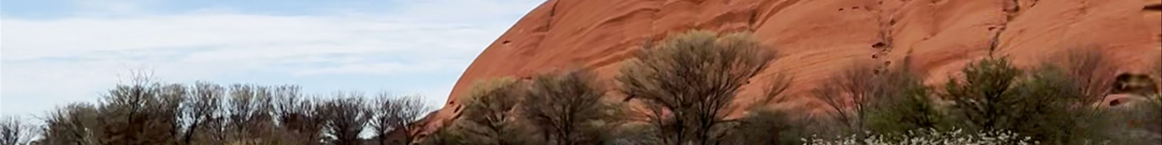 Tours & experiences in Yulara