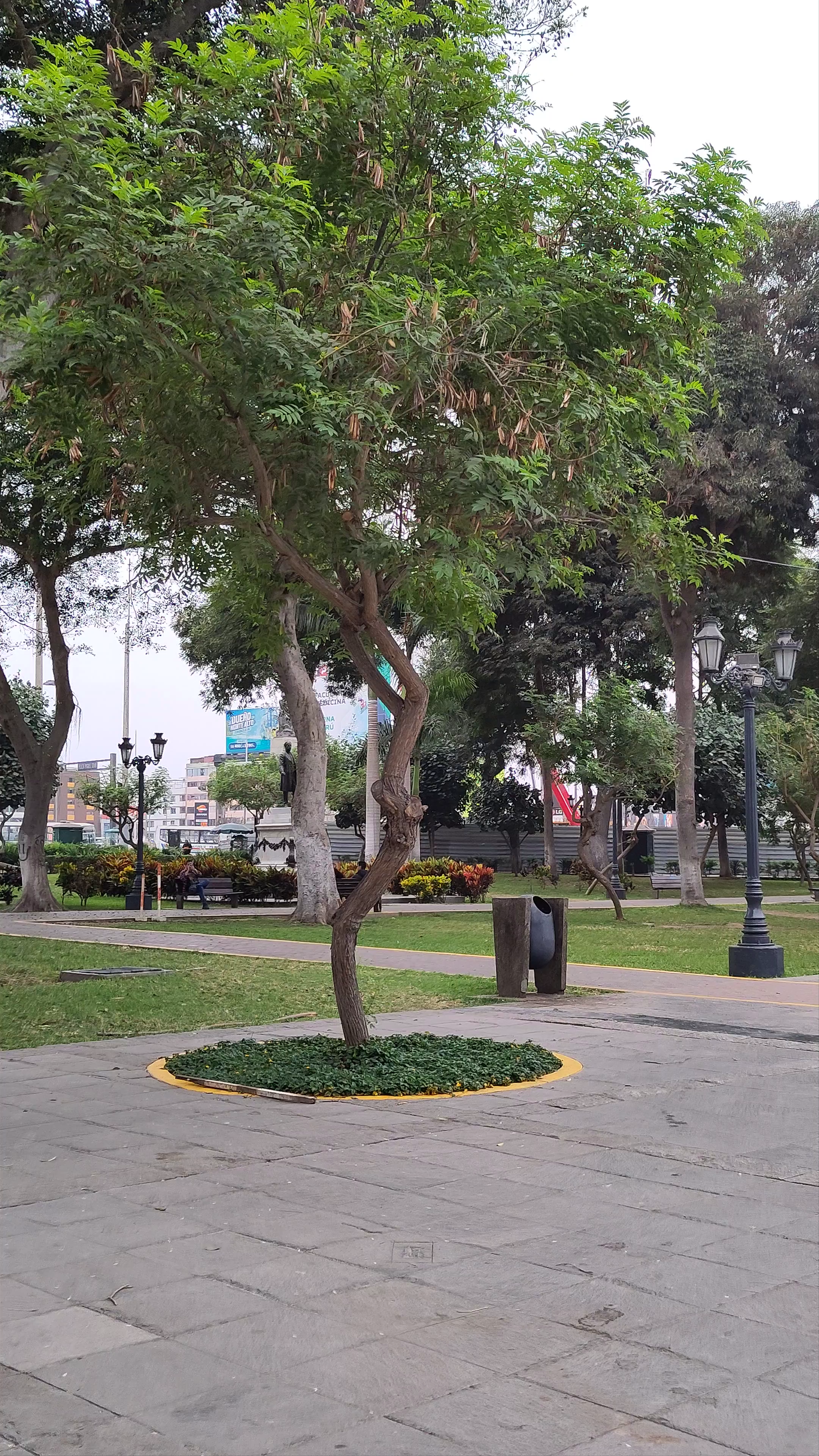 Parque Juana Alarco de Dammert